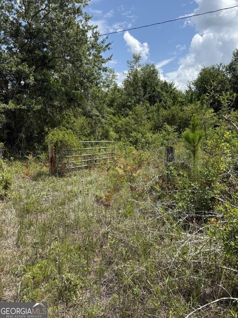 896 Farm Road Property Photo 19