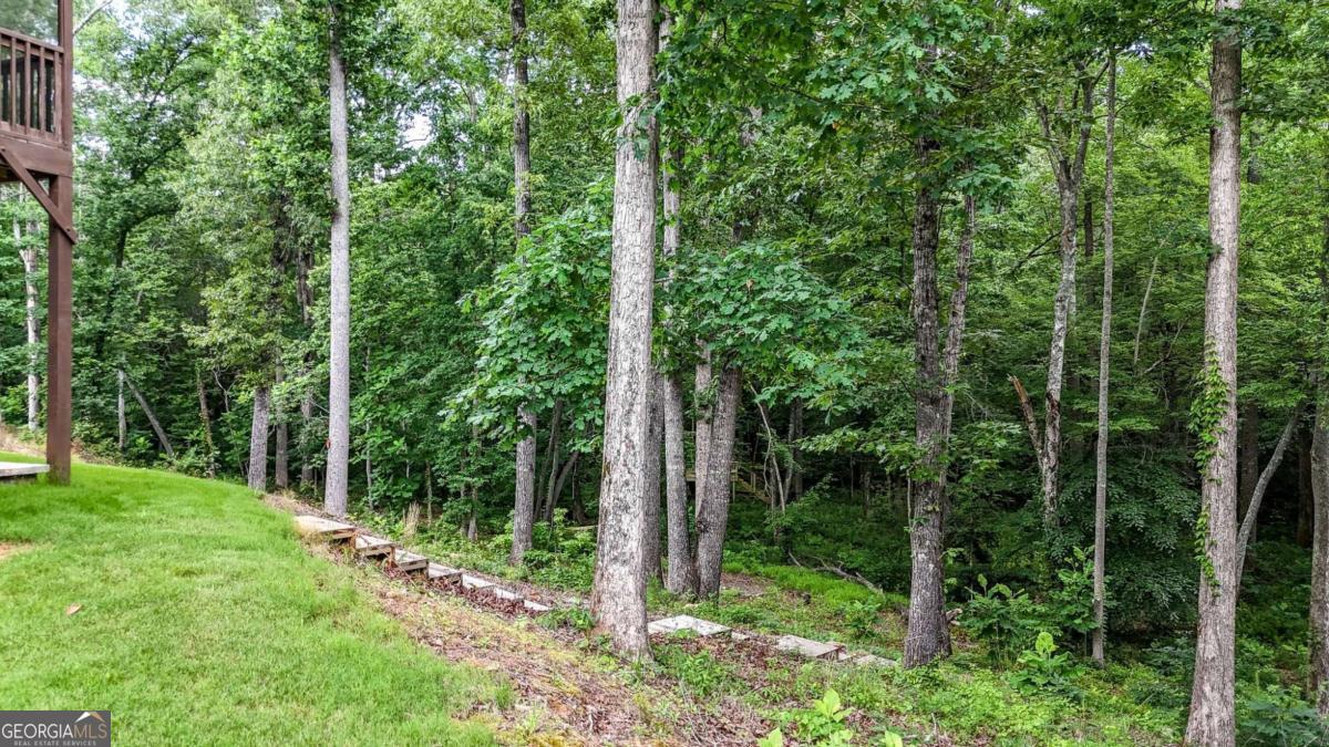 120 Longleaf Drive Property Photo 53