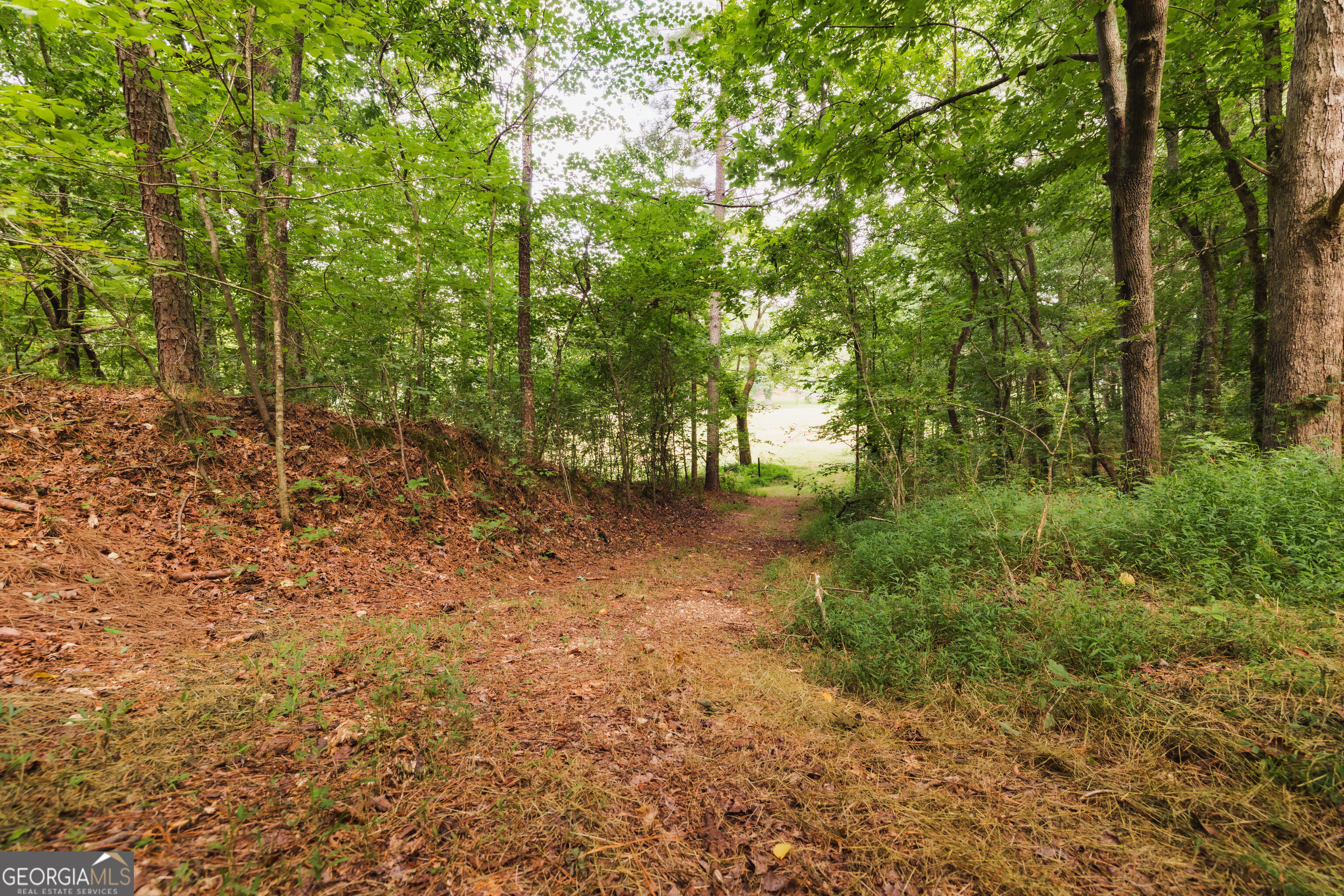 1910 Ridgeway Road Property Photo 35