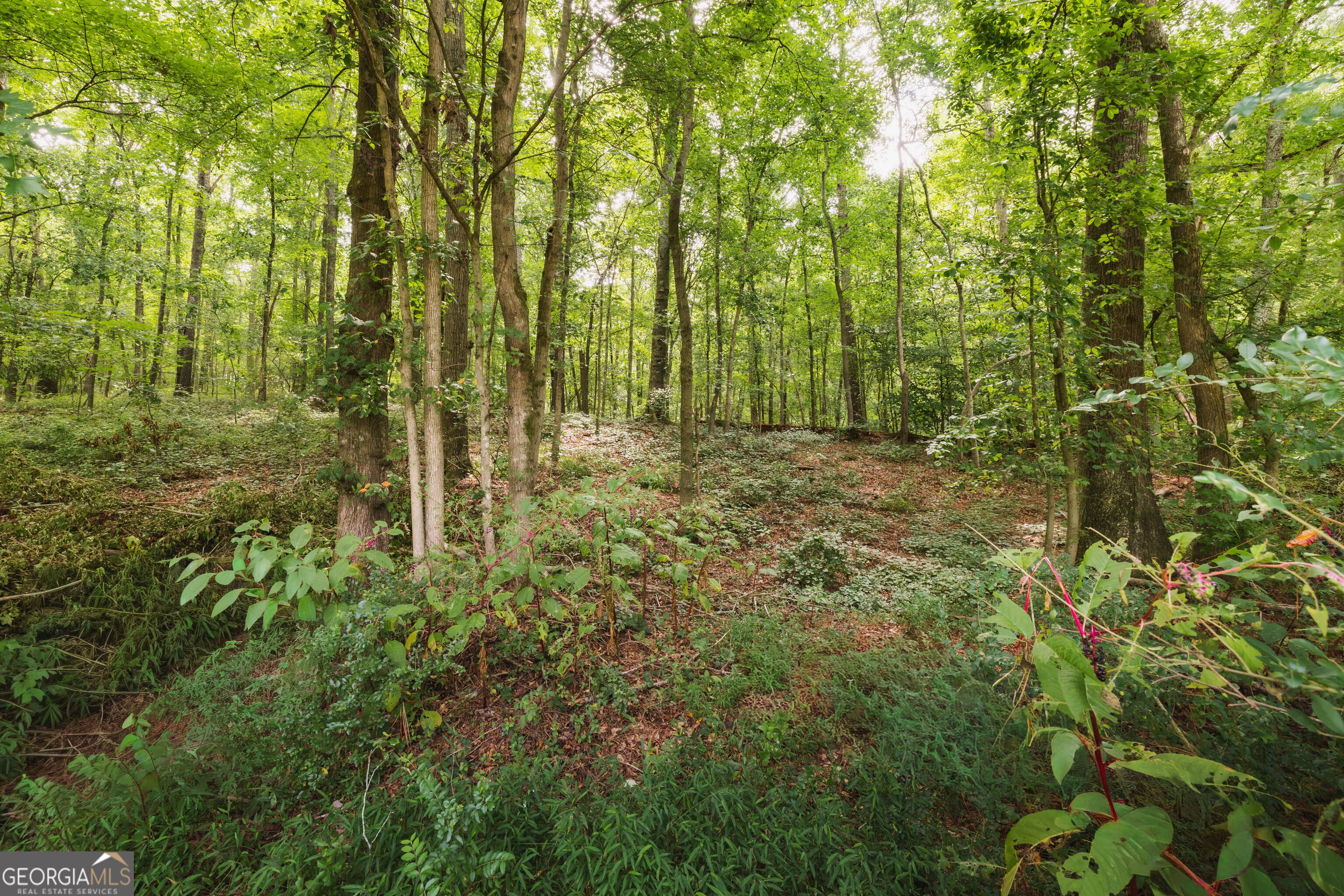 1910 Ridgeway Road Property Photo 37