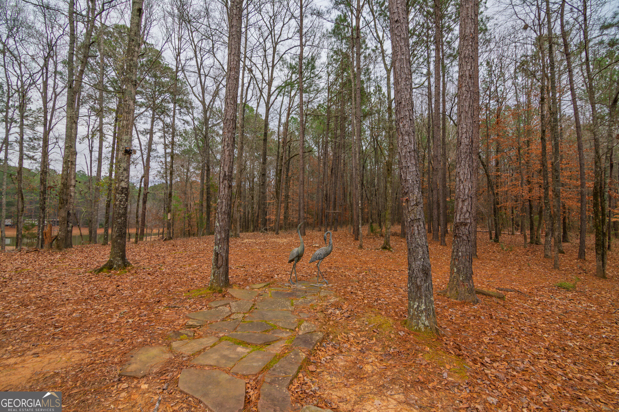 1578 Ga Highway 208 Property Photo 56