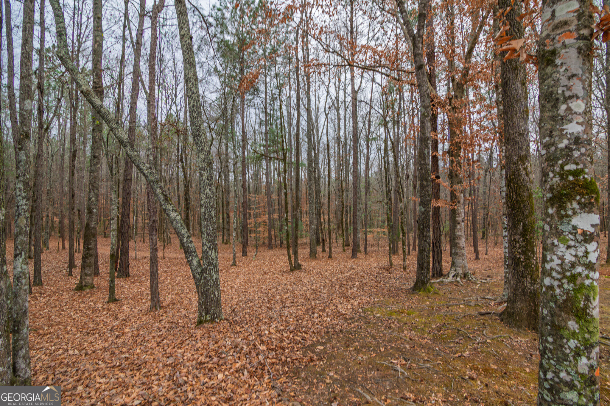1578 Ga Highway 208 Property Photo 57