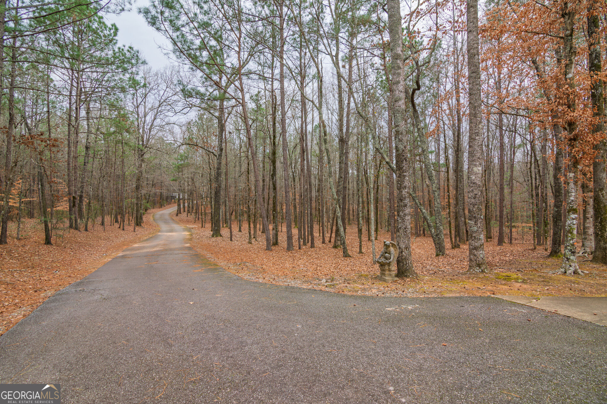 1578 Ga Highway 208 Property Photo 58