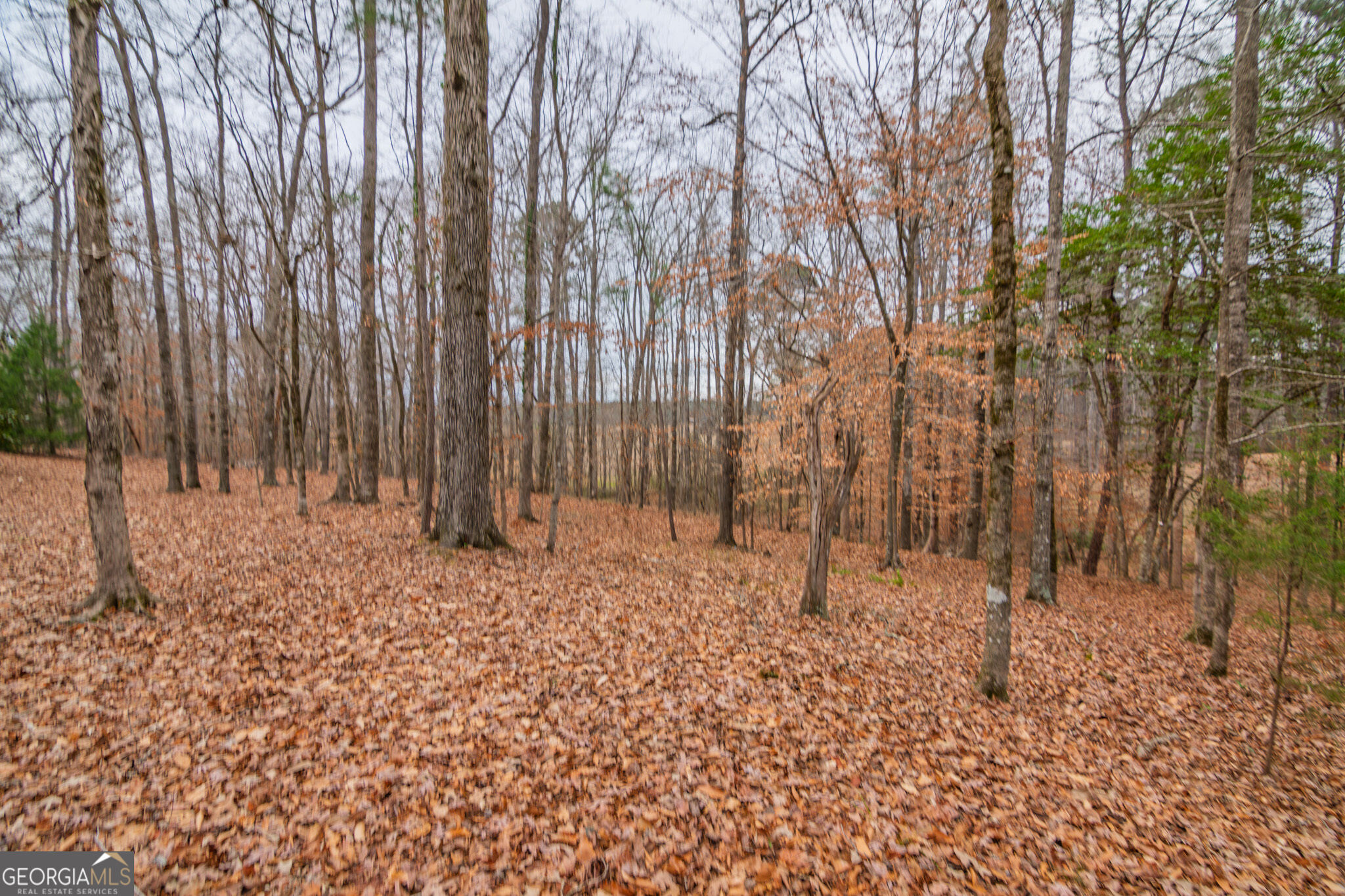 1578 Ga Highway 208 Property Photo 59