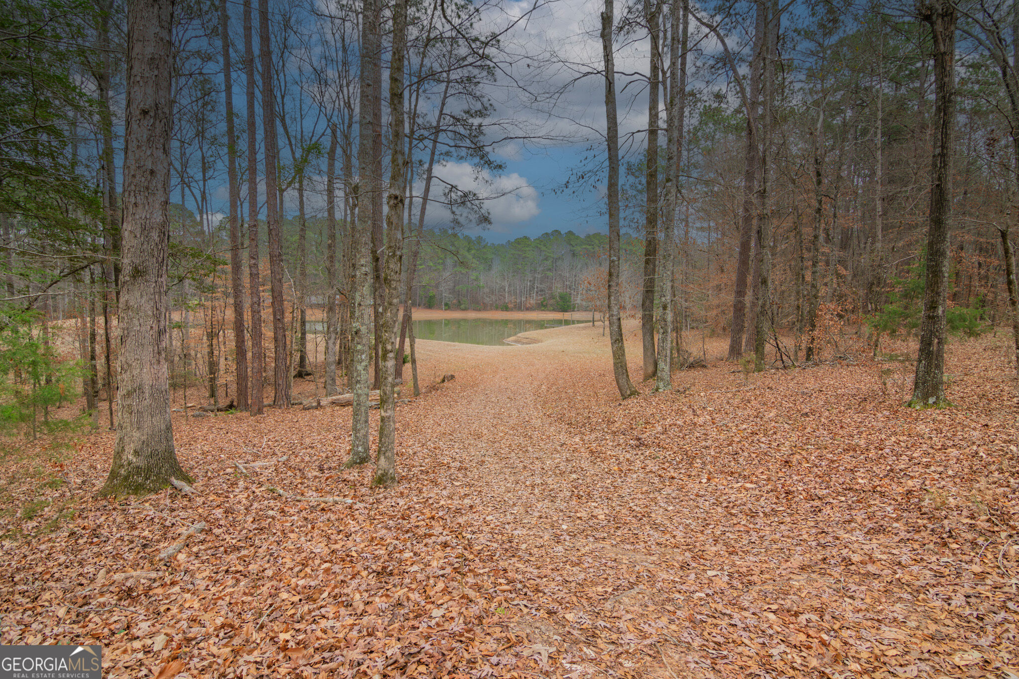 1578 Ga Highway 208 Property Photo 60