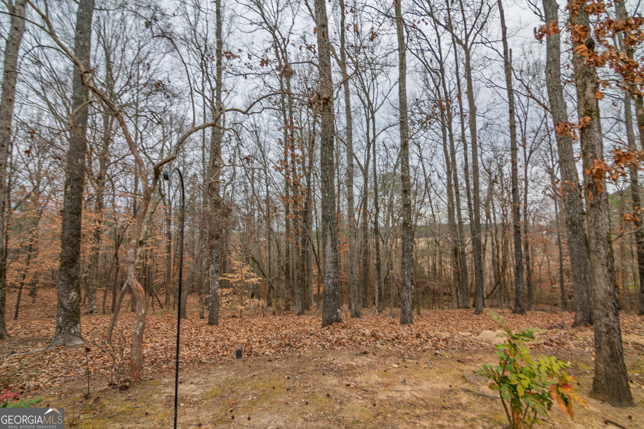 1578 Ga Highway 208 Property Photo 65