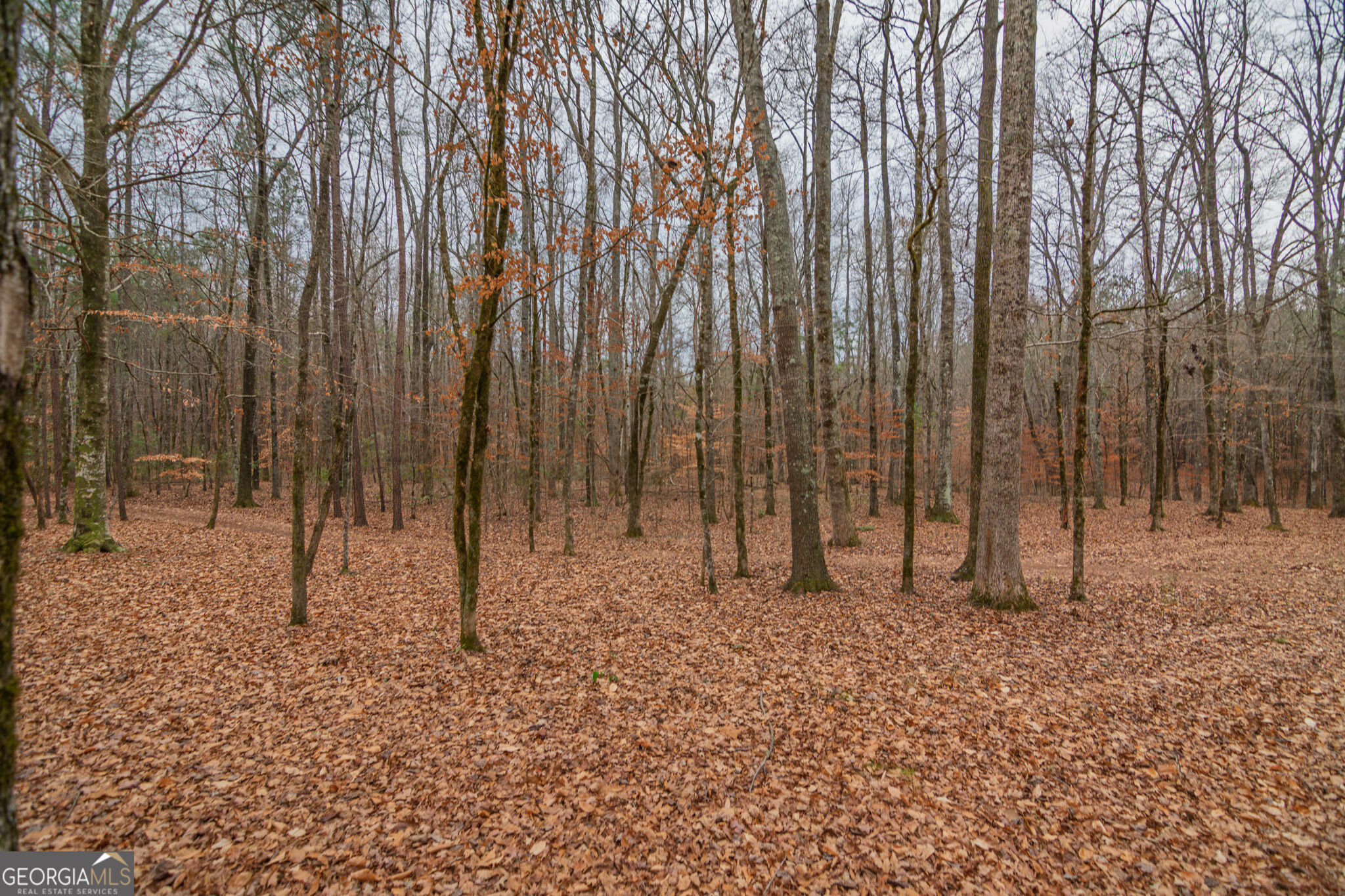 1578 Ga Highway 208 Property Photo 68