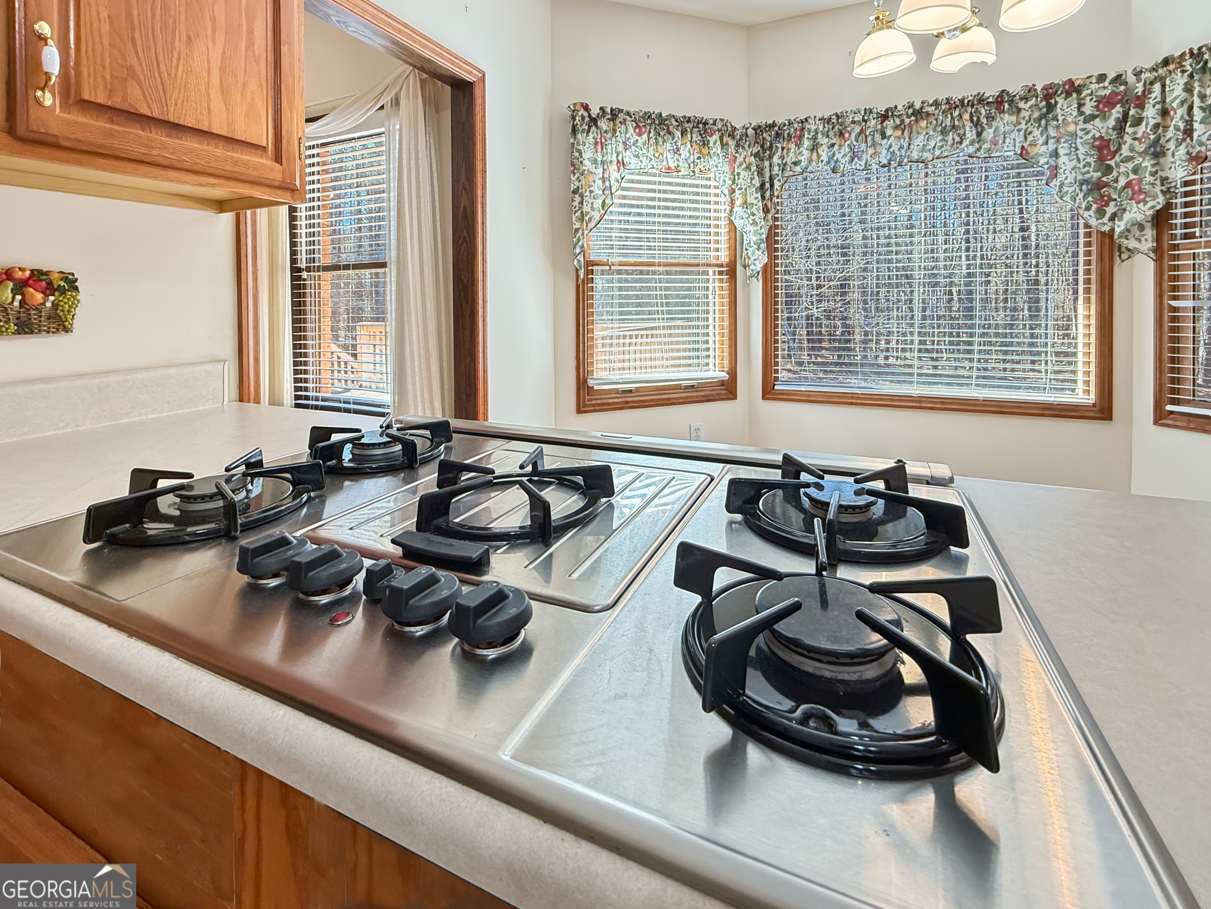1100 Highway 54 Property Photo 8