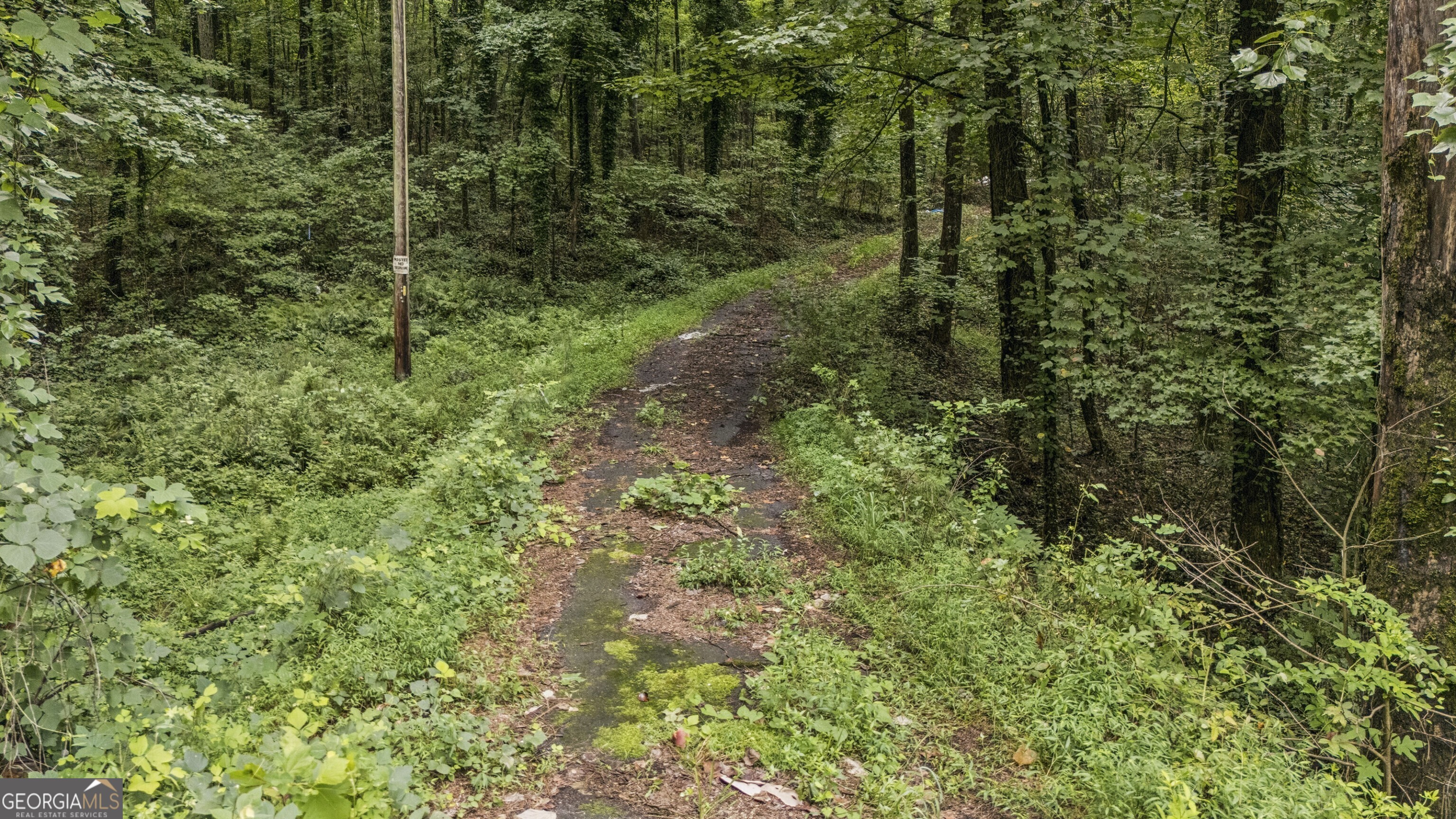 6733 Highway 155 N Property Photo 13