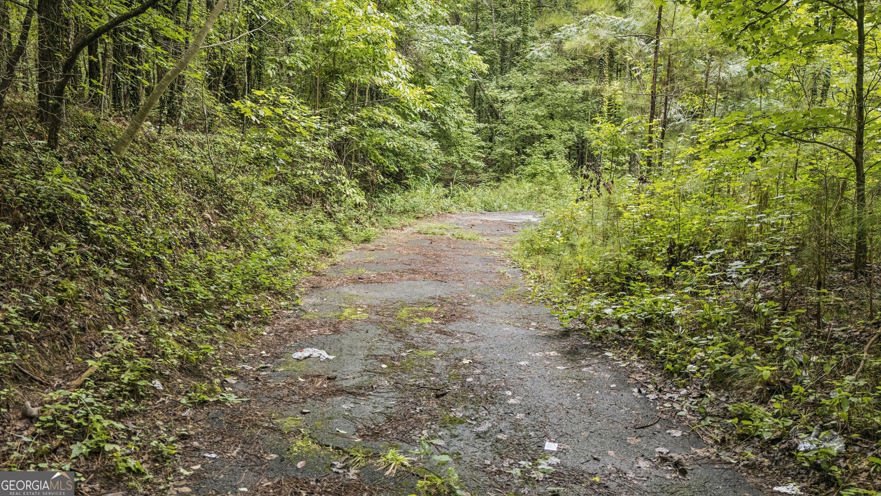 6733 Highway 155 N Property Photo 14