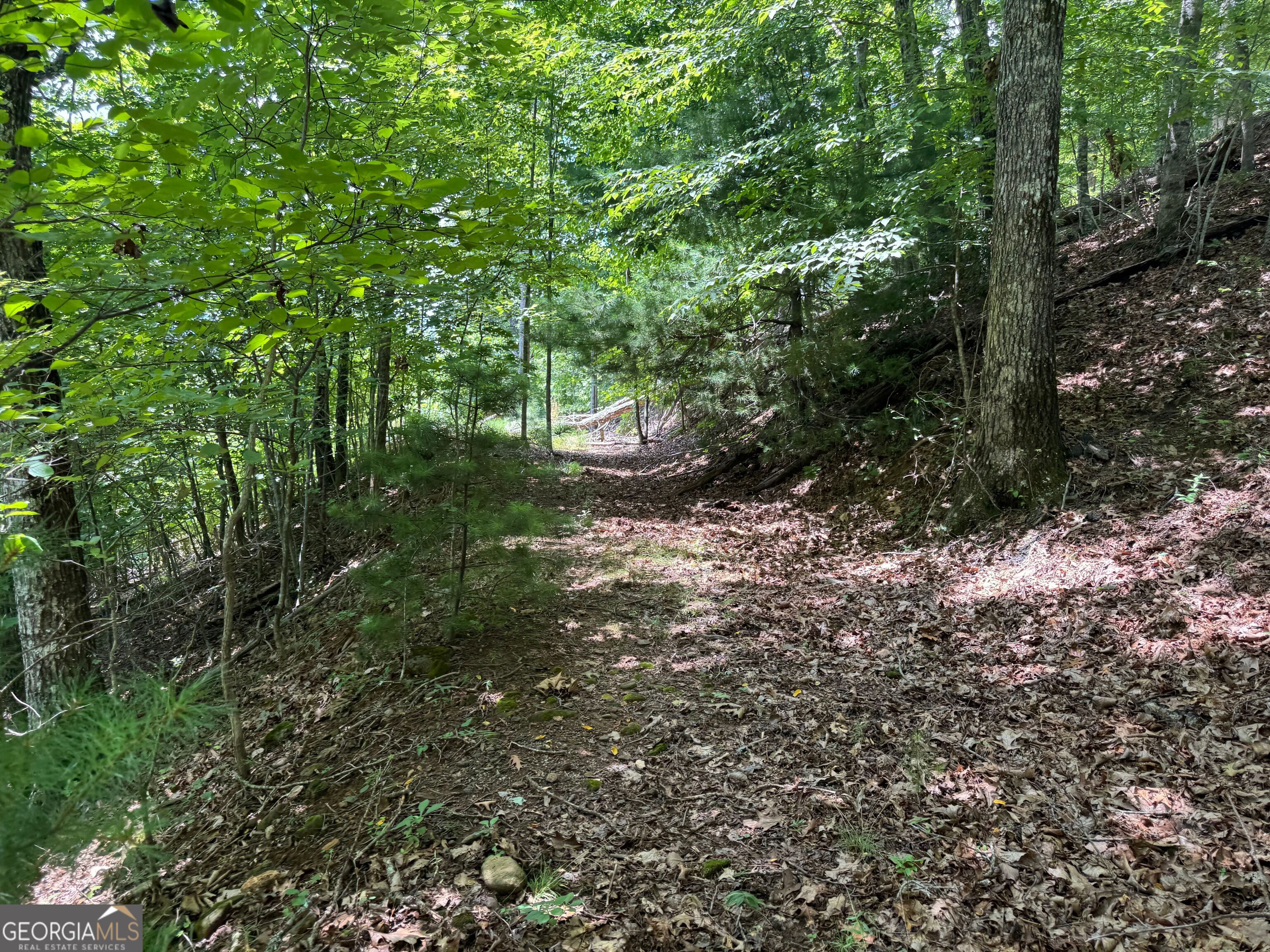 #2 & #7 Ivy Lane Property Photo 3