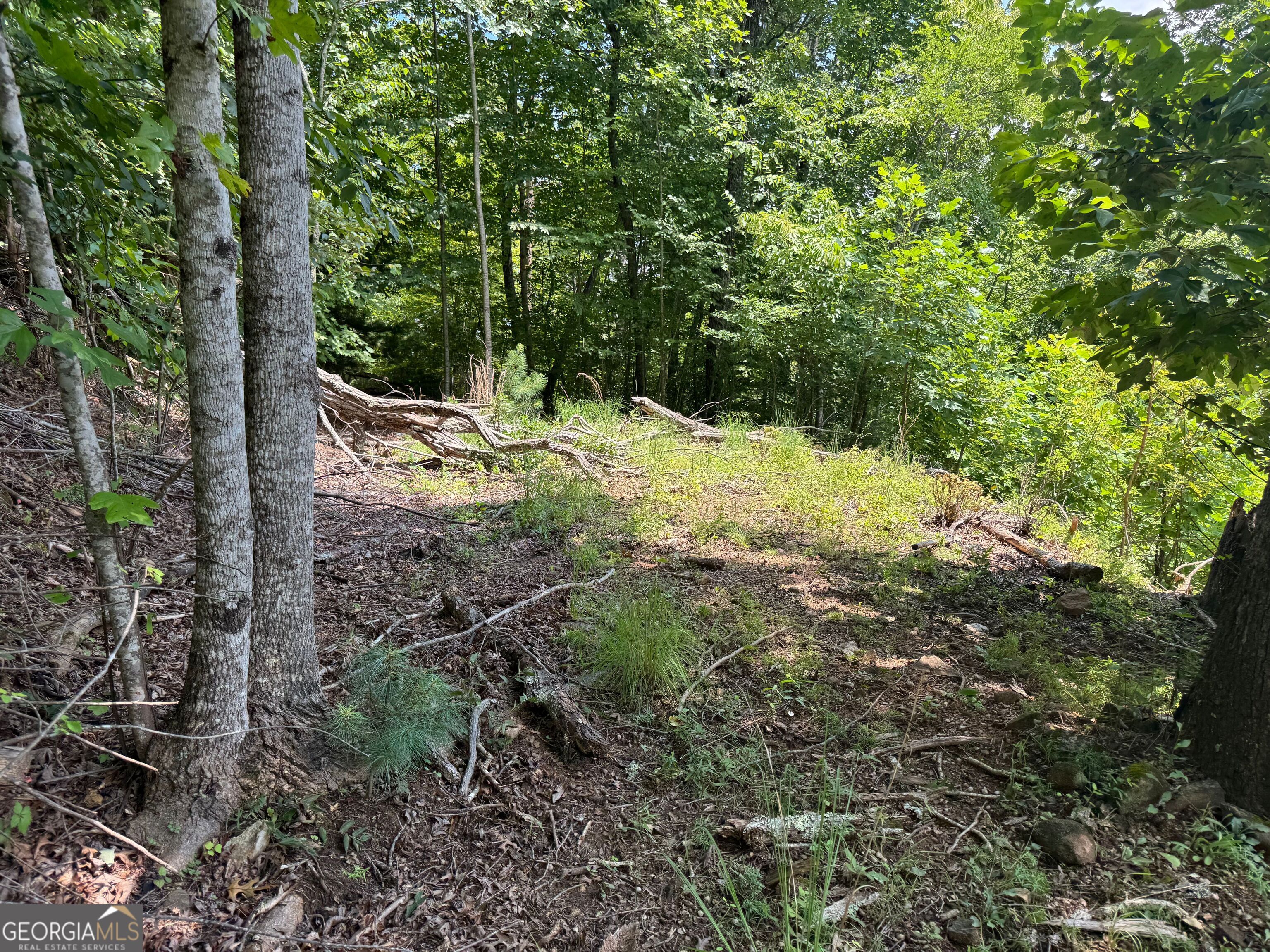 #2 & #7 Ivy Lane Property Photo 5