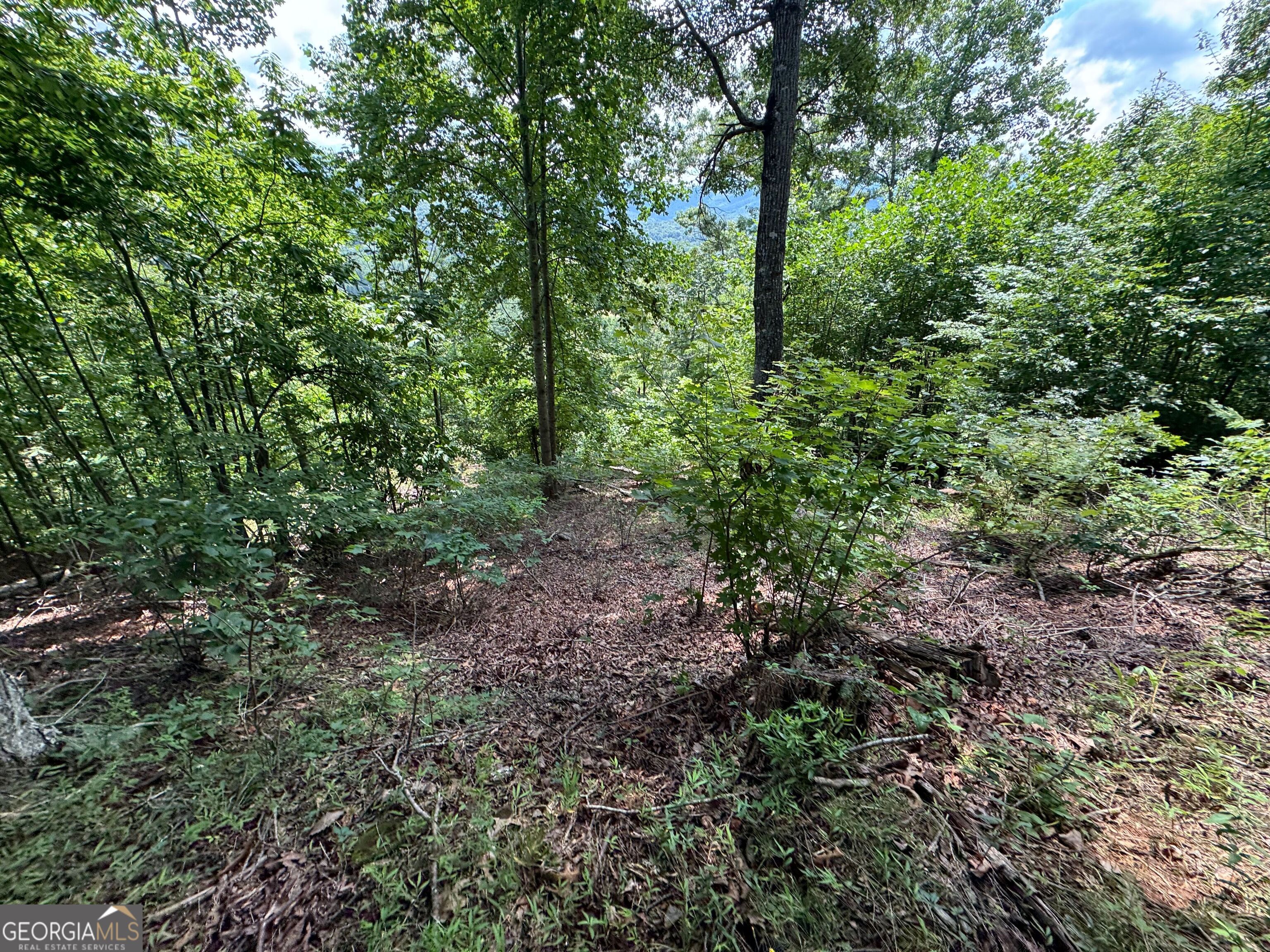 #2 & #7 Ivy Lane Property Photo 6