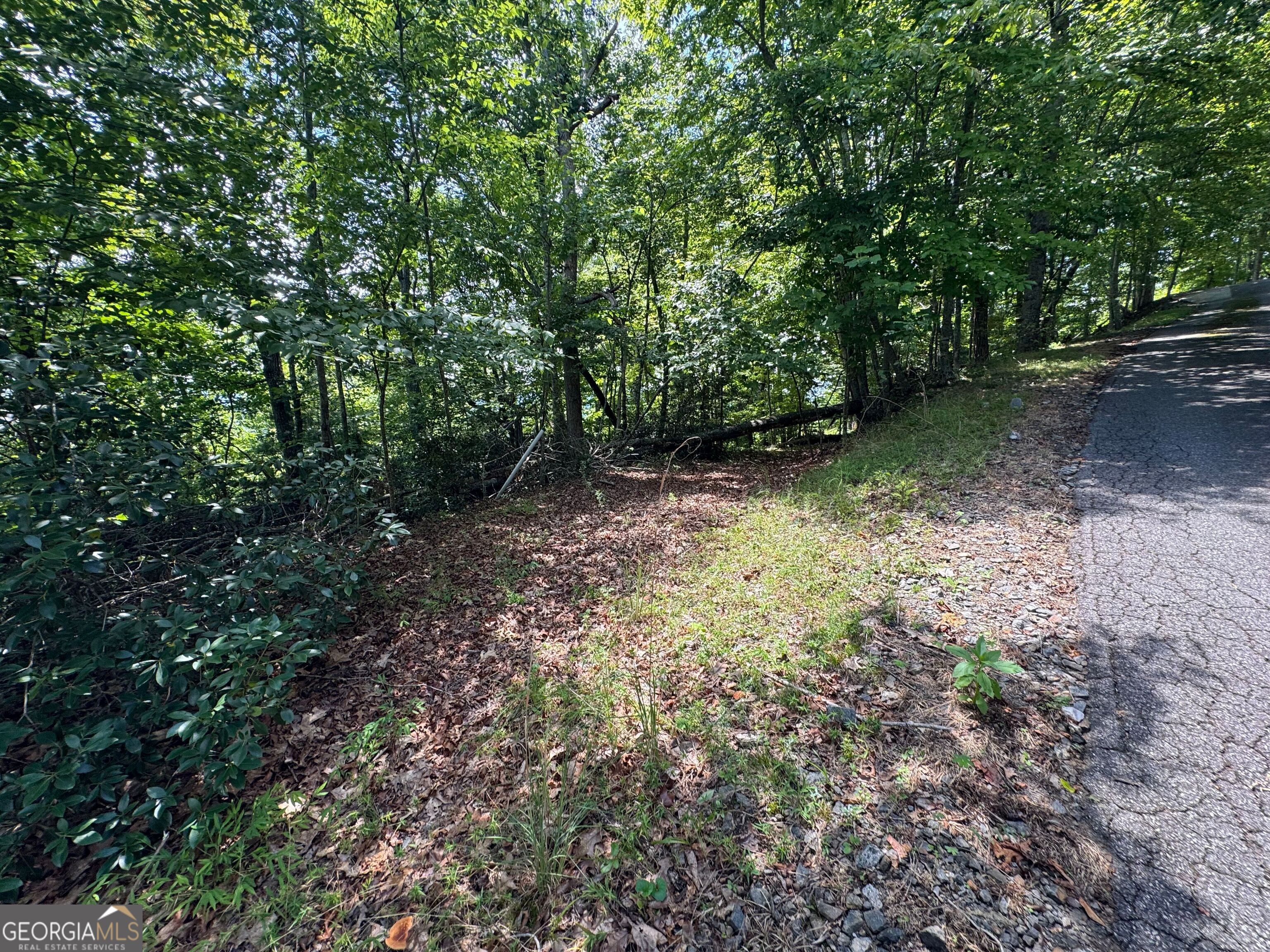 #2 & #7 Ivy Lane Property Photo 7