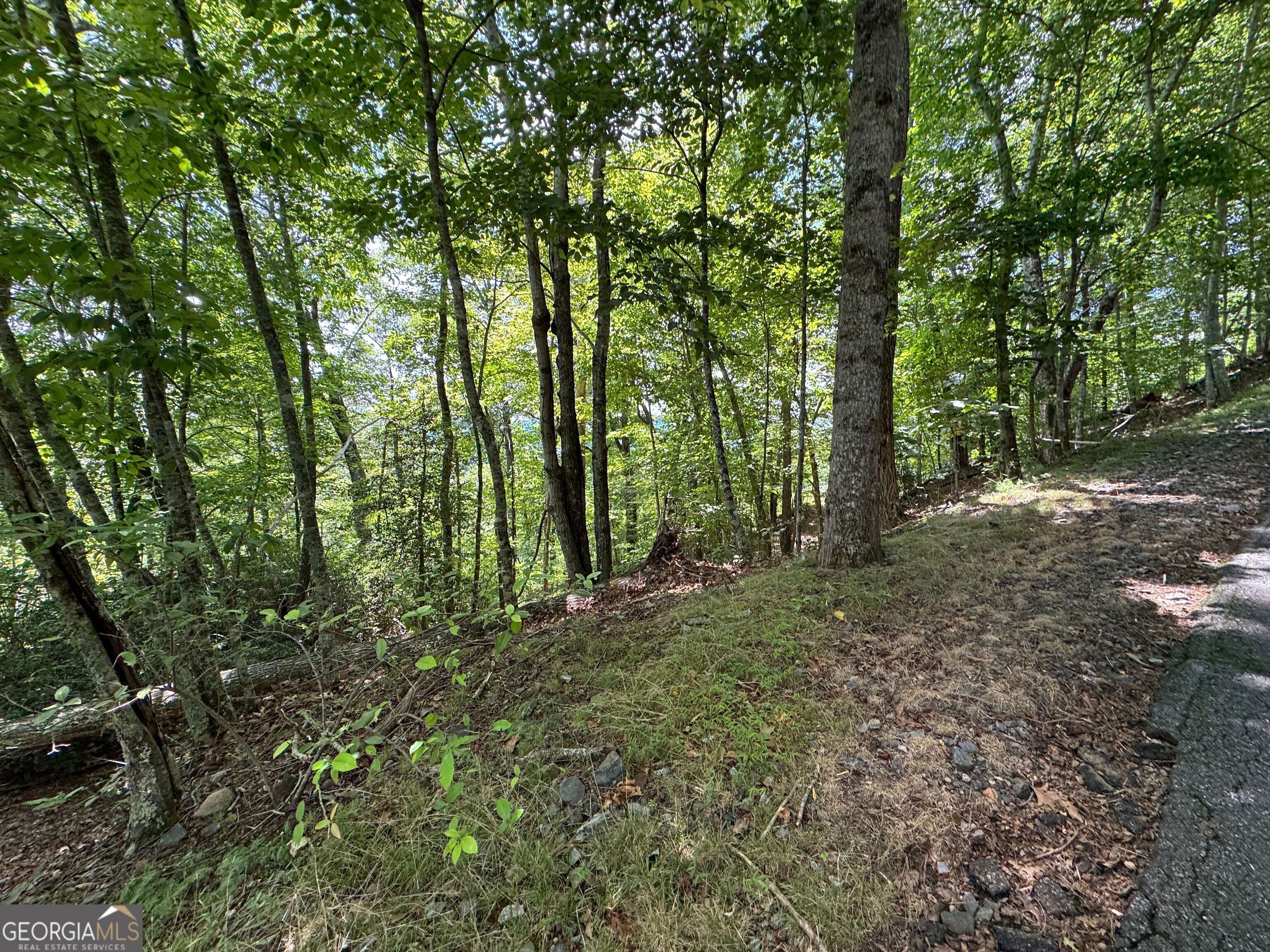 #2 & #7 Ivy Lane Property Photo 8