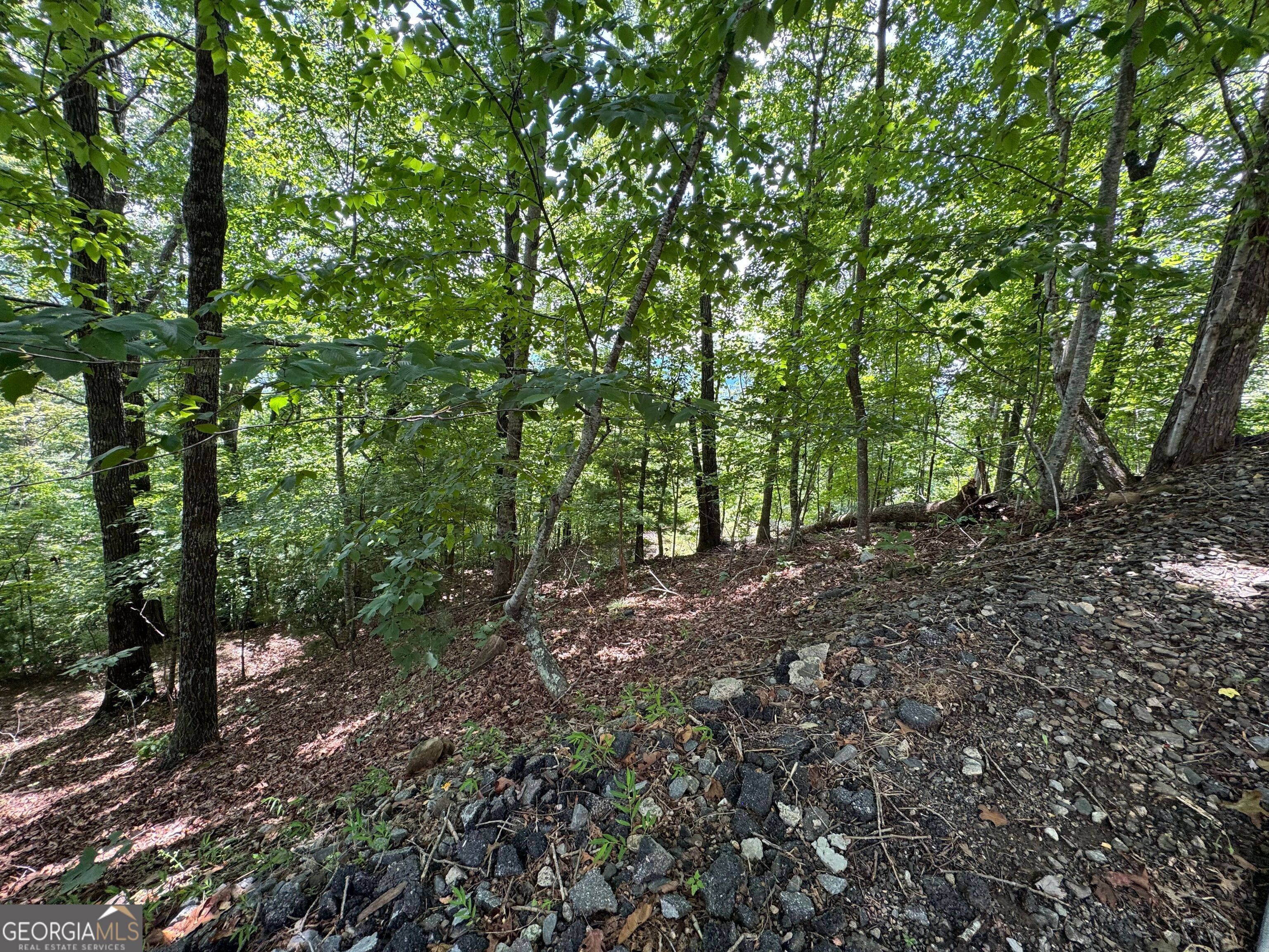 #2 & #7 Ivy Lane Property Photo 9