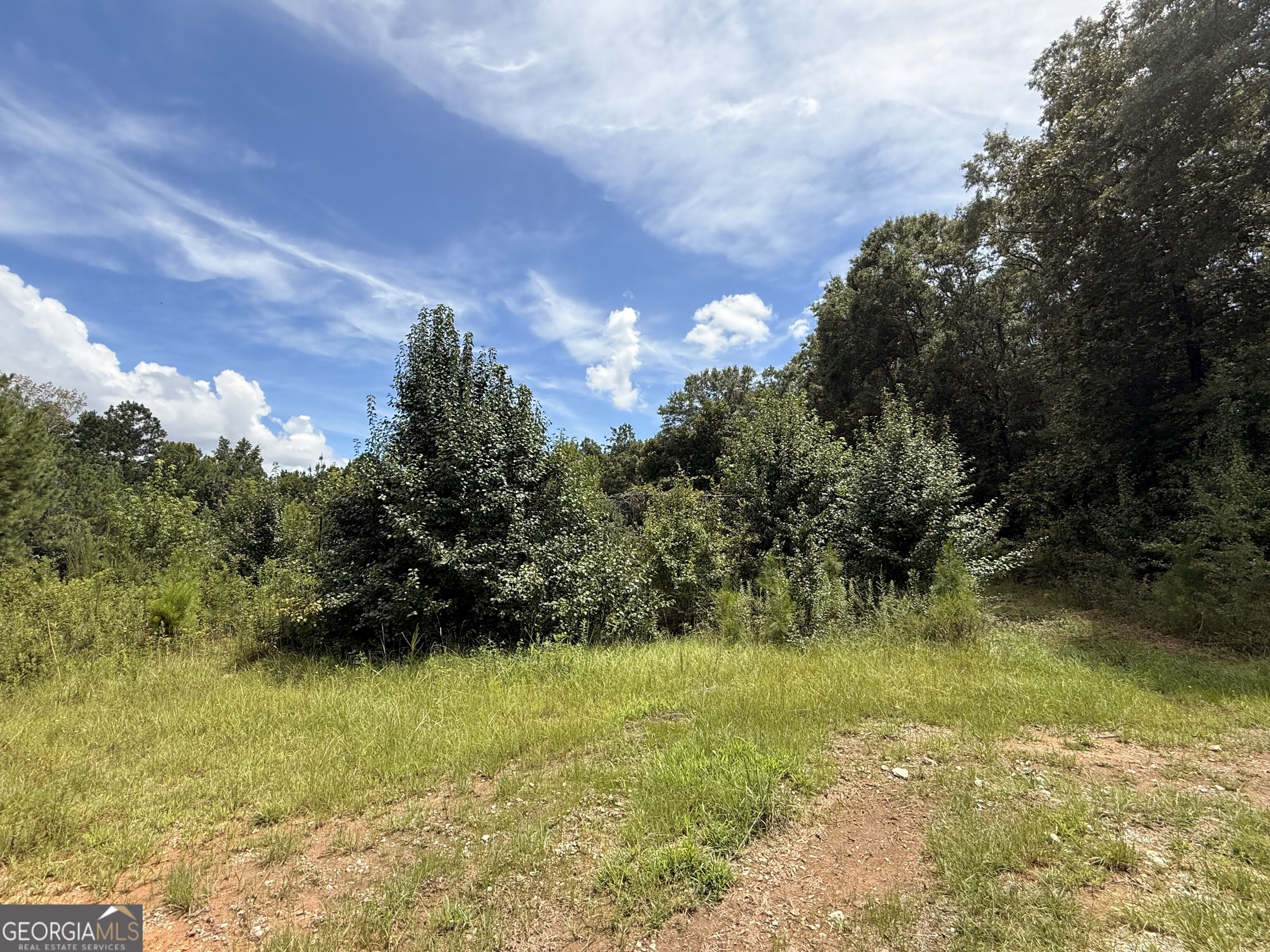140 Abberley Lane Property Photo 3