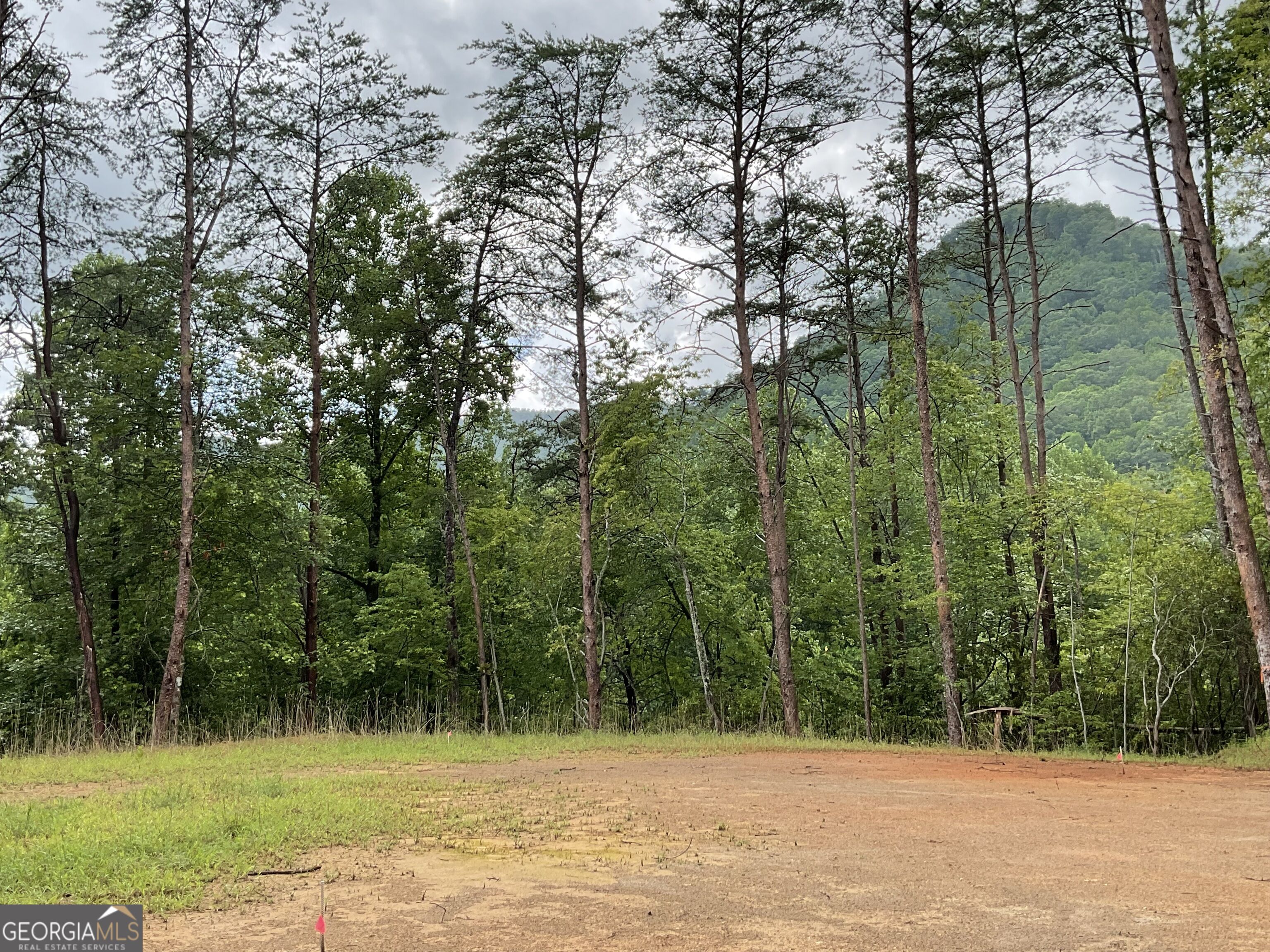 675 Big Creek Road Property Photo 1