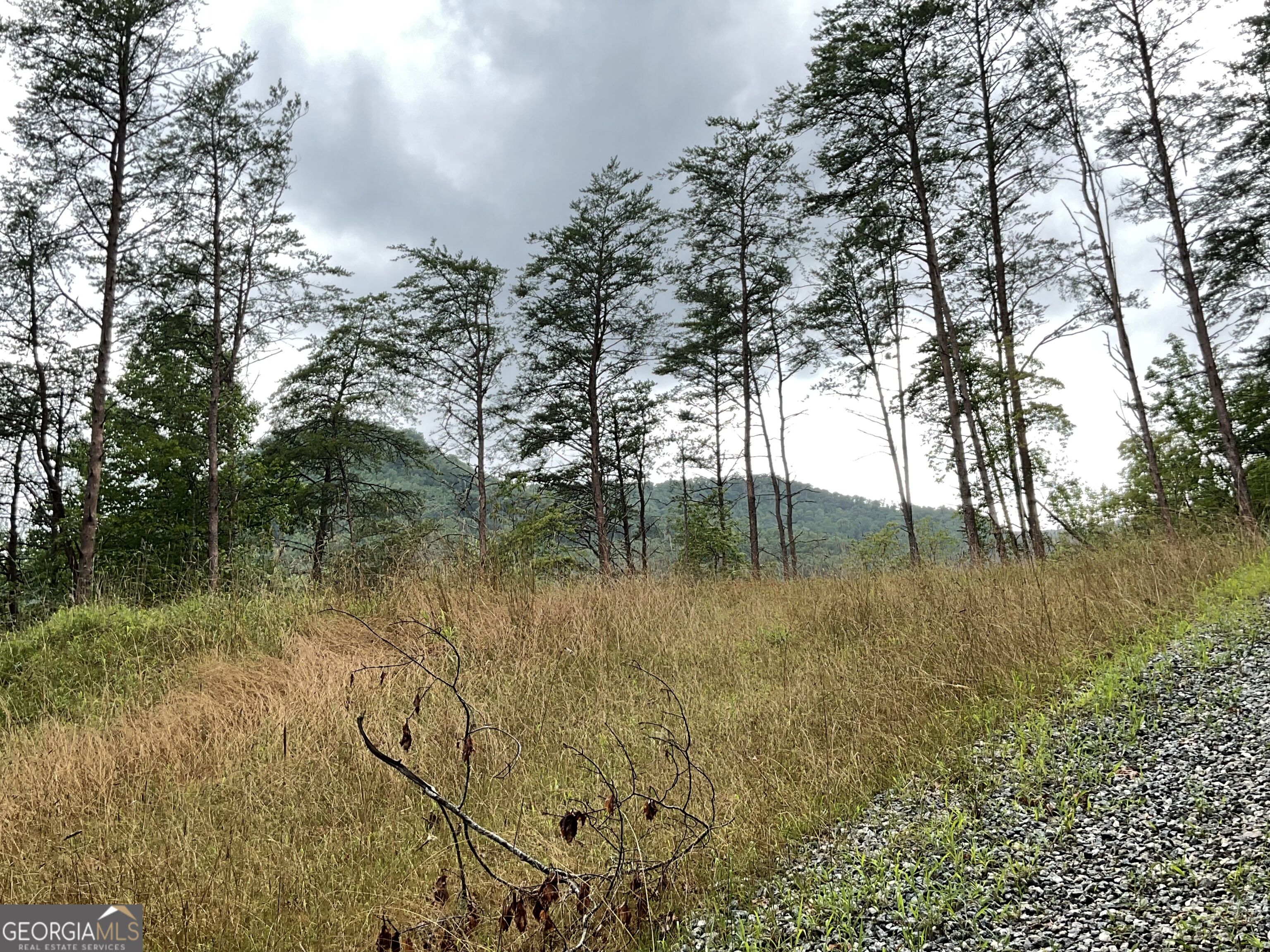 675 Big Creek Road Property Photo 3