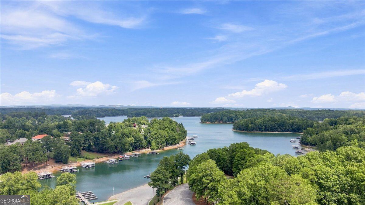 6458 Lanier Harbor Landing Property Photo 48