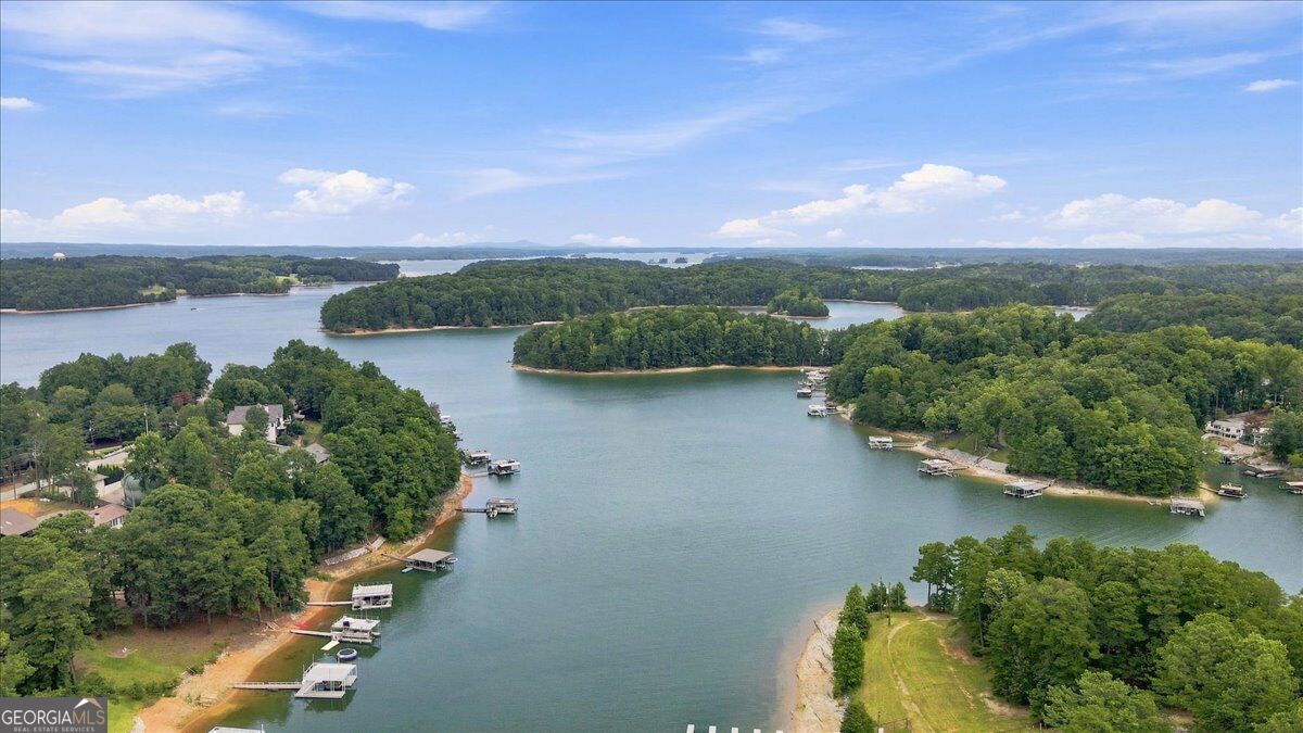 6458 Lanier Harbor Landing Property Photo 56