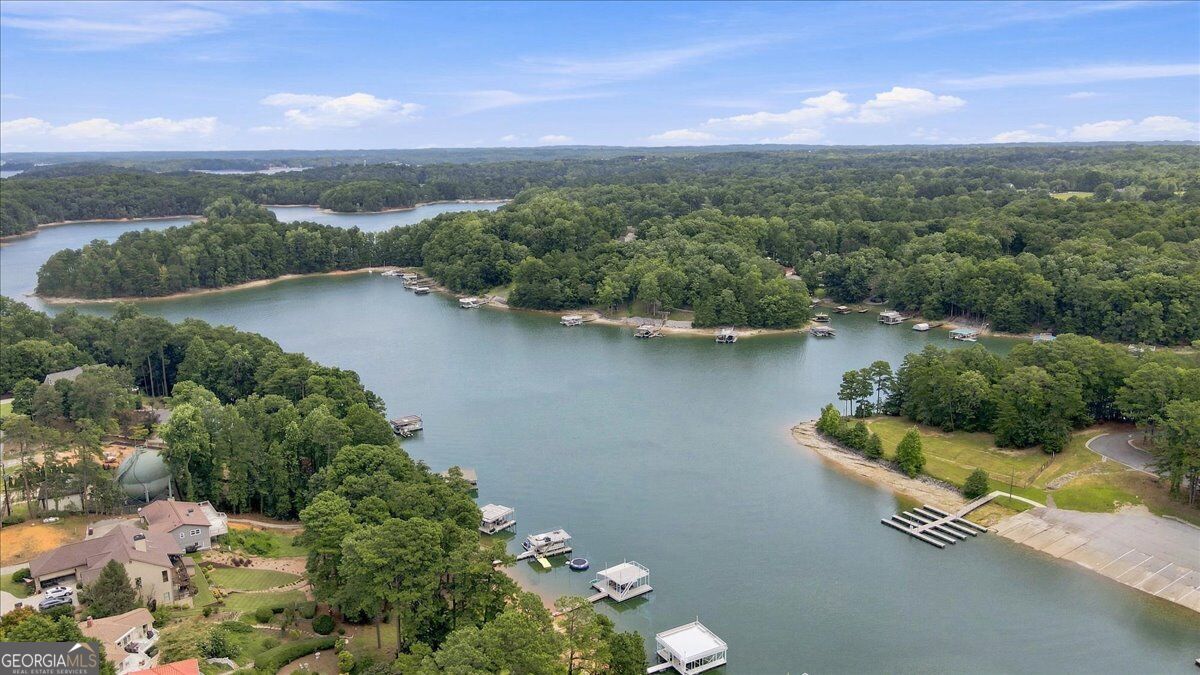 6458 Lanier Harbor Landing Property Photo 58