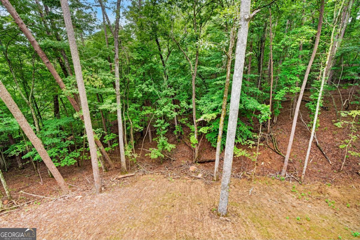 579 Julep Court Property Photo 24