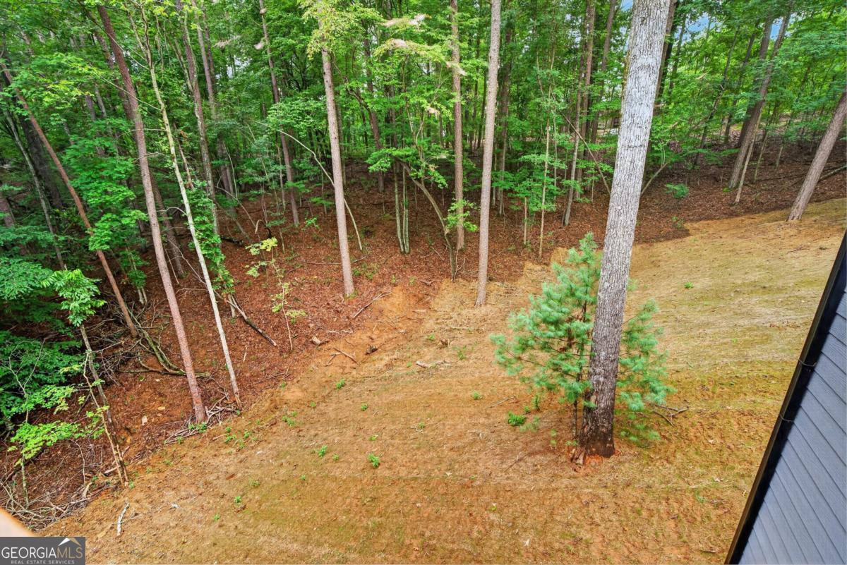 579 Julep Court Property Photo 26