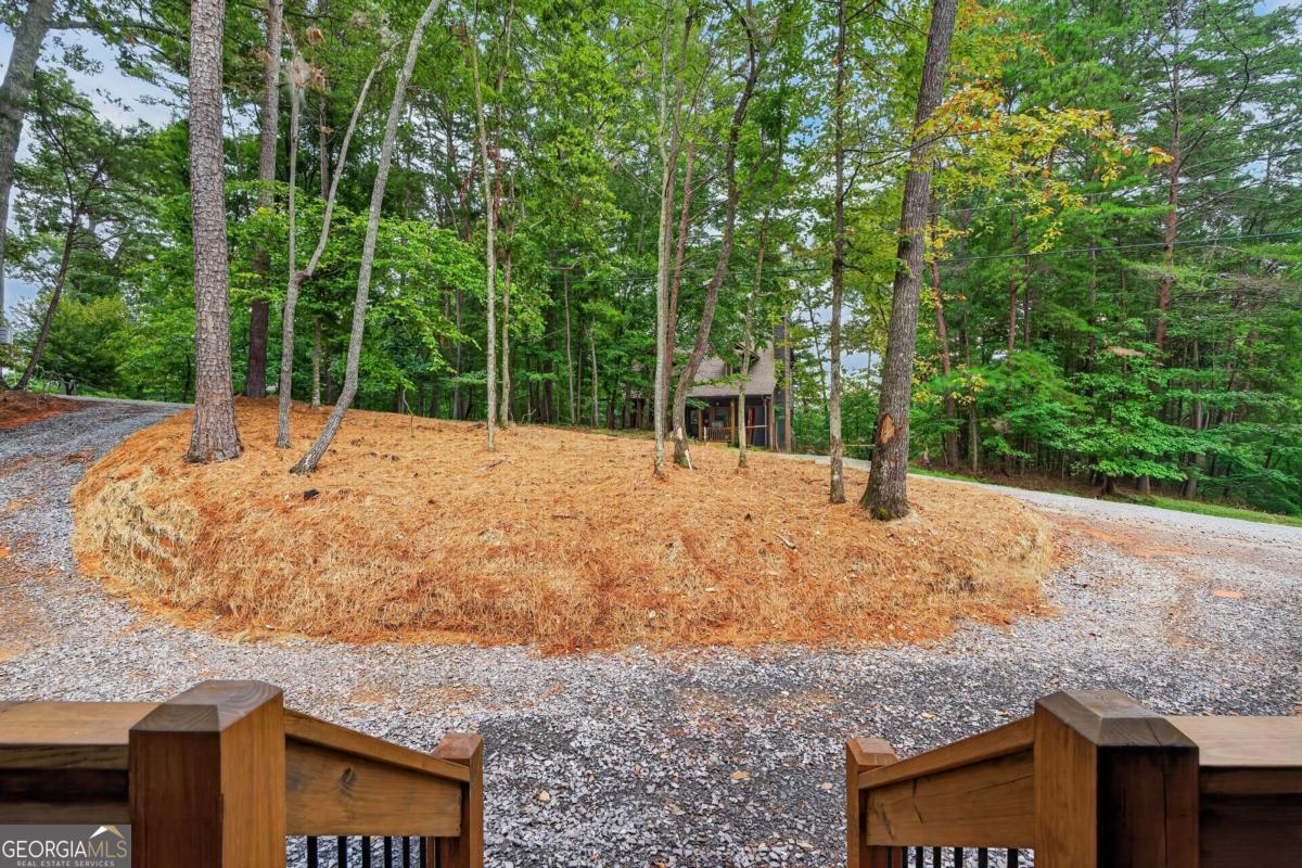 579 Julep Court Property Photo 27