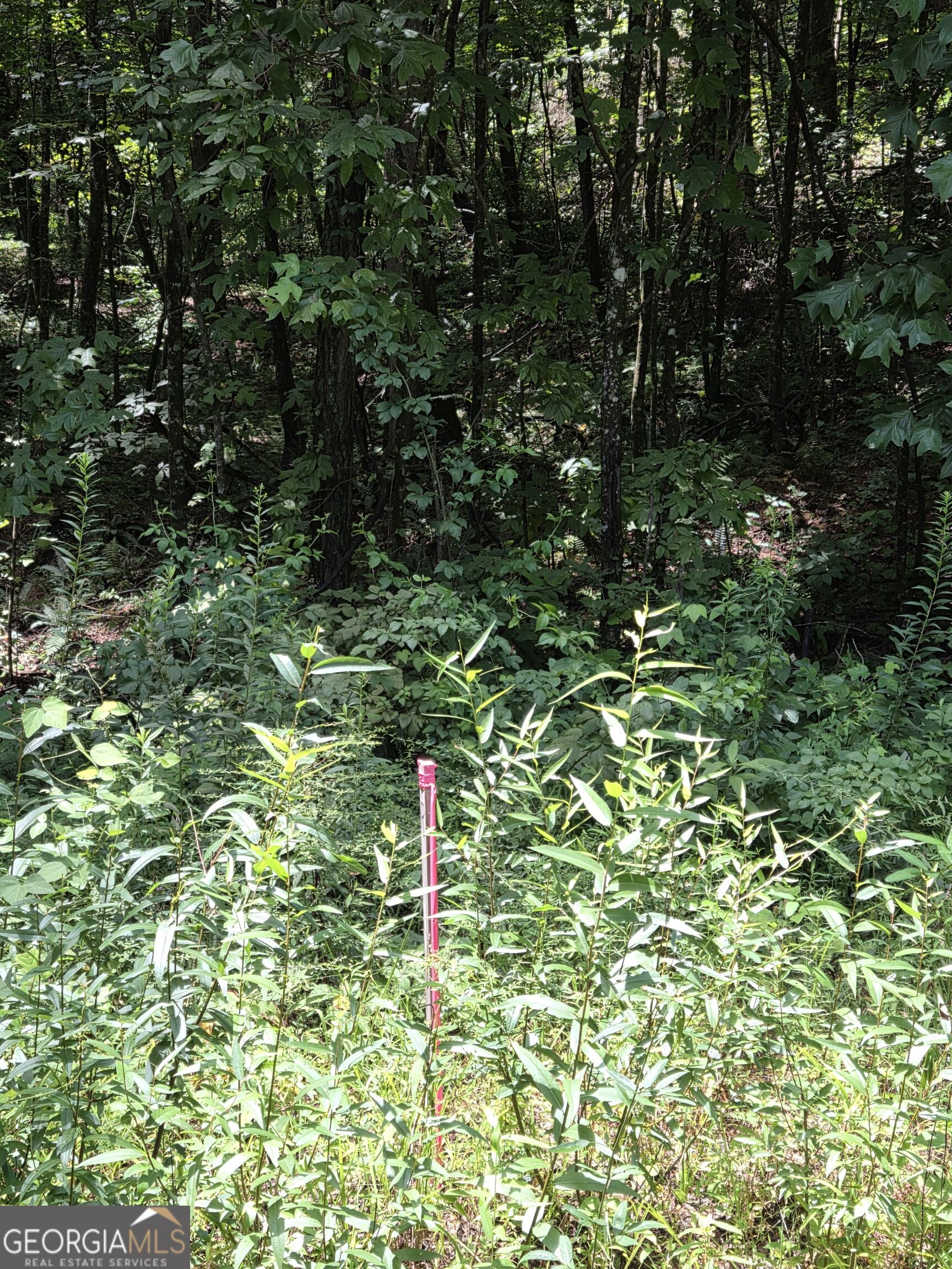 0 Chopped Oak Property Photo 3