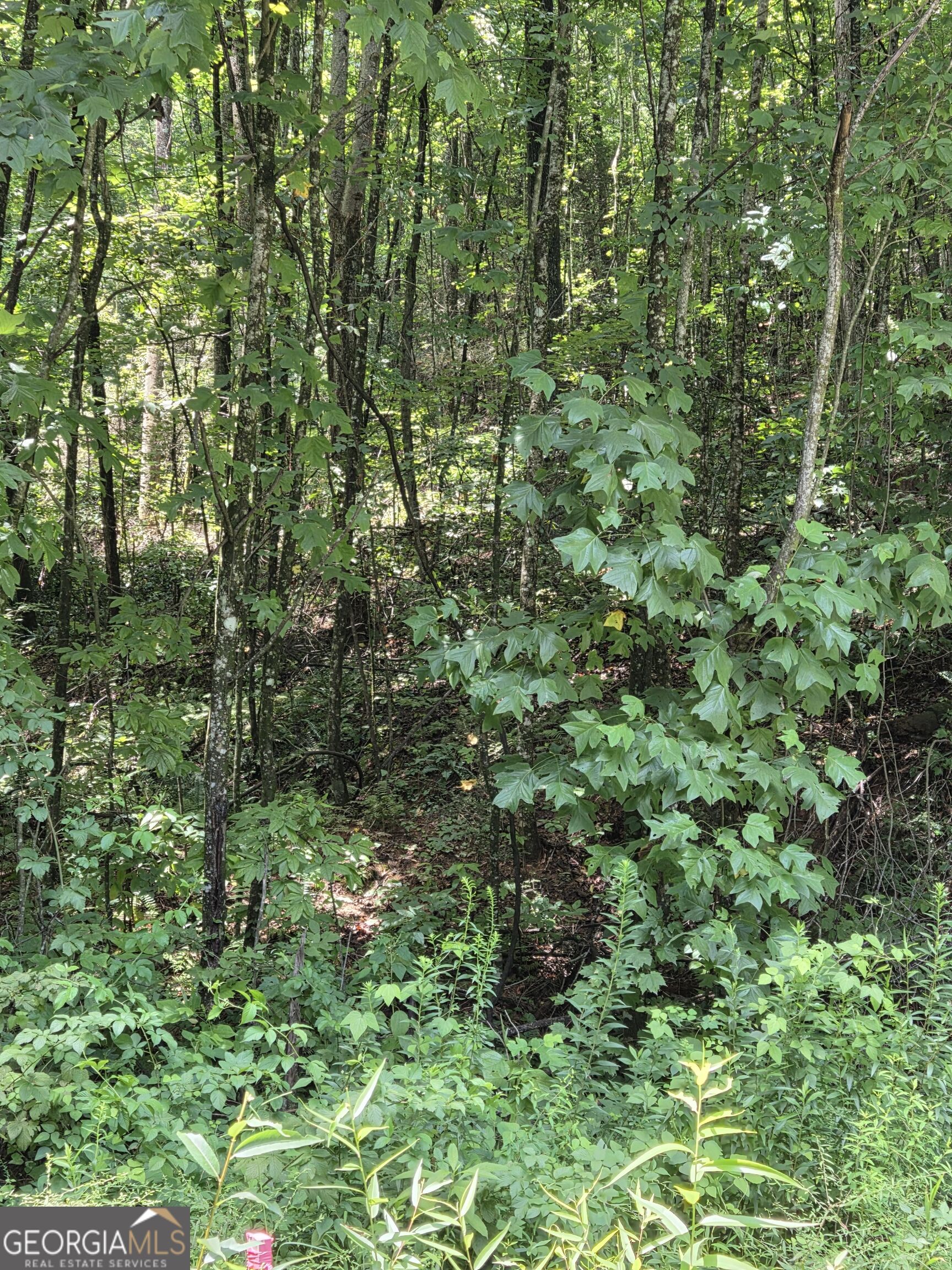 0 Chopped Oak Property Photo 4