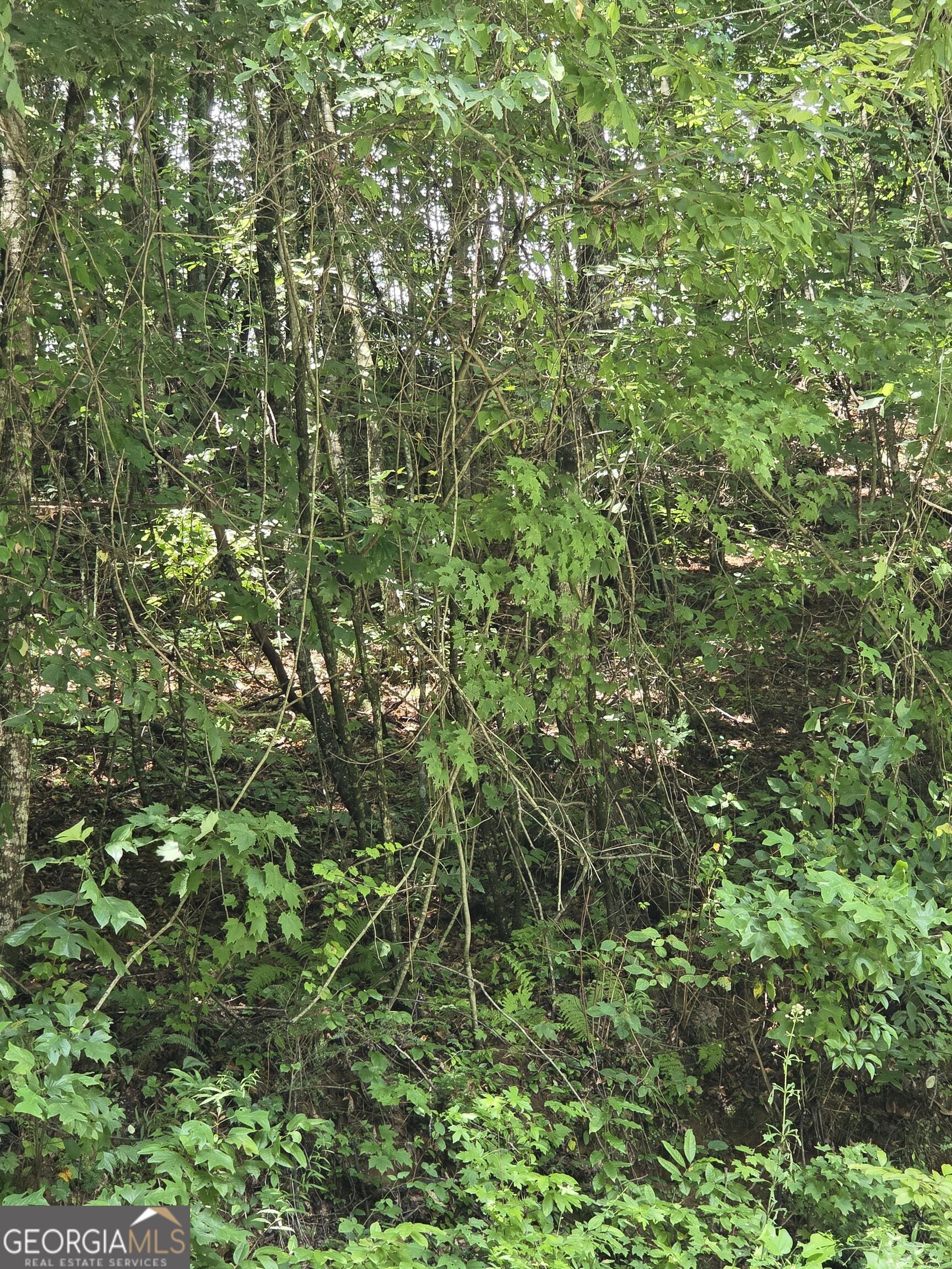 0 Chopped Oak Property Photo 5