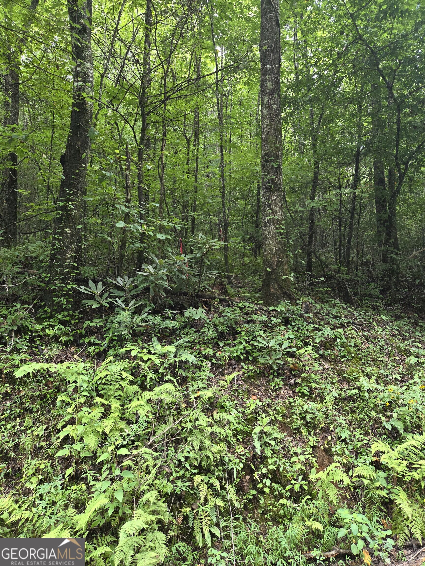0 Chopped Oak Property Photo 8