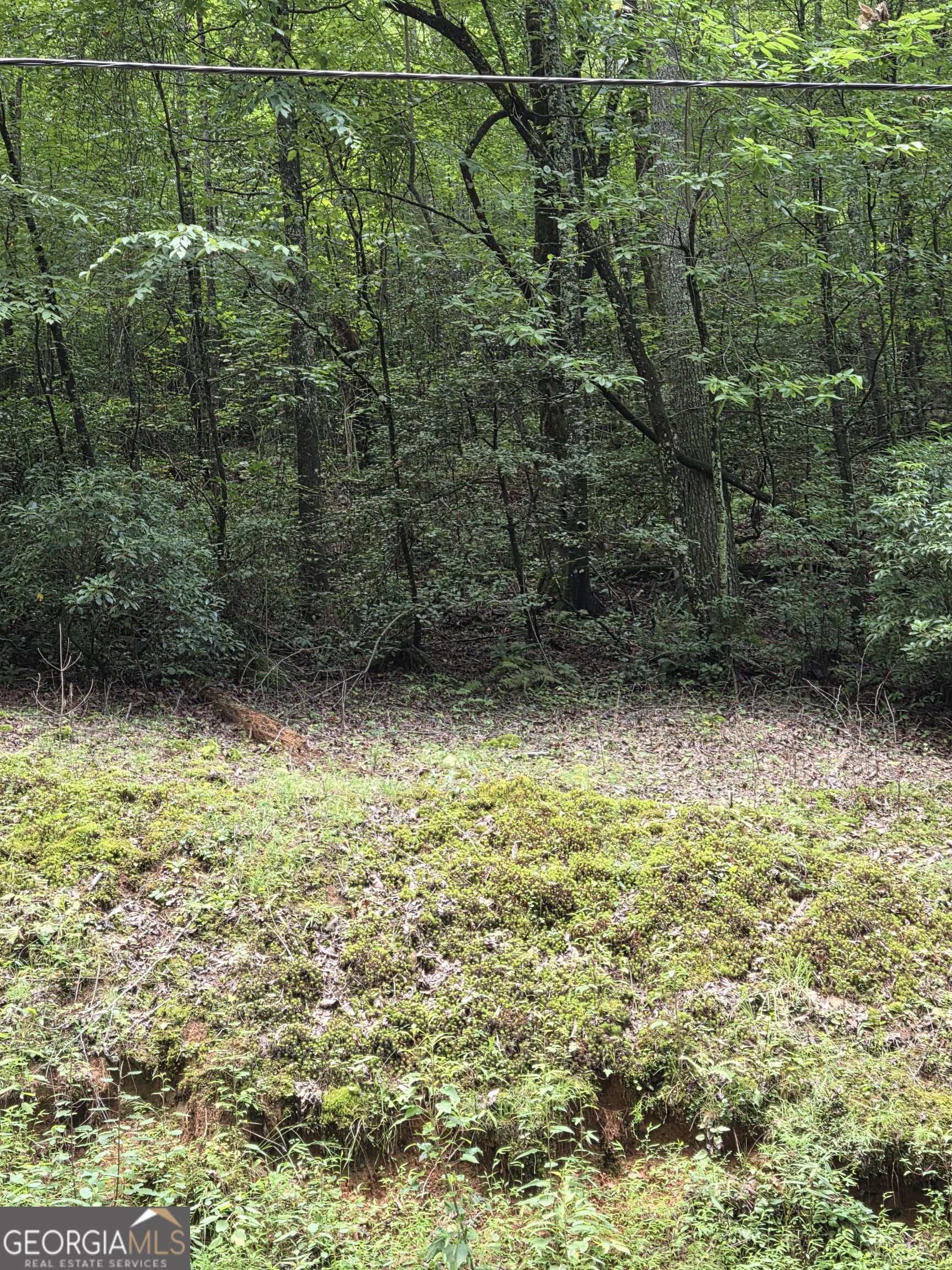 0 Chopped Oak Property Photo 14