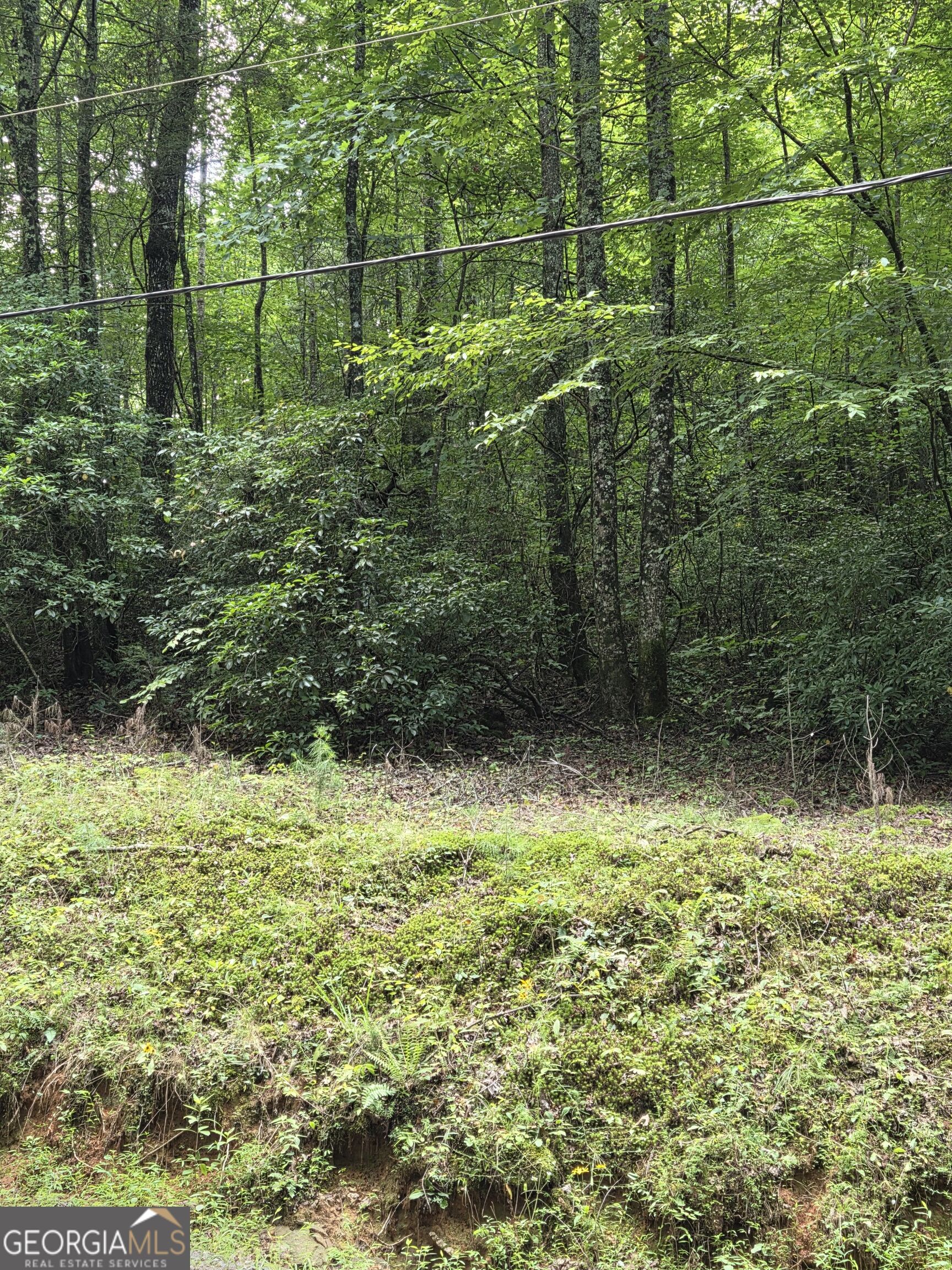 0 Chopped Oak Property Photo 15