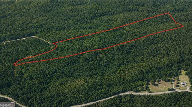 0 Holly Creek Cool Spr Road Property Photo 1