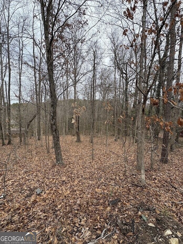 0 Polk Avenue Property Photo 2