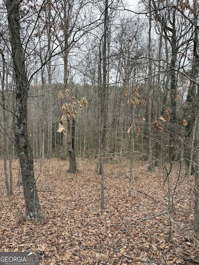 0 Polk Avenue Property Photo 3