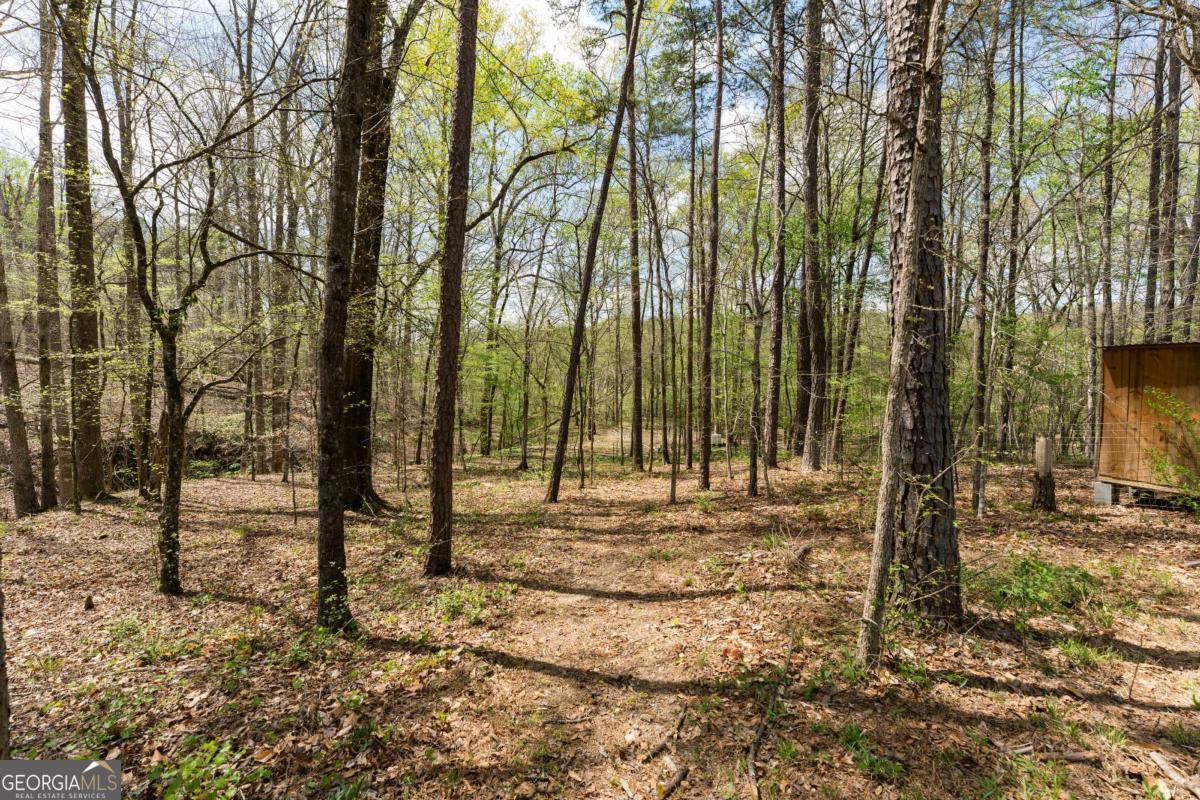 401 Blossom Trail Property Photo 74