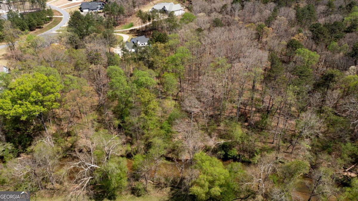 401 Blossom Trail Property Photo 78