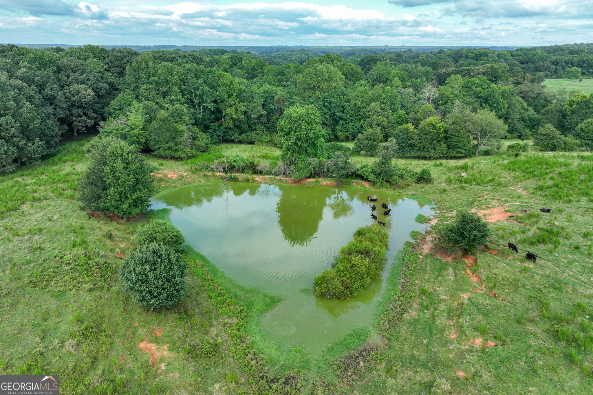 0 Turkey Creek Road Property Photo 18