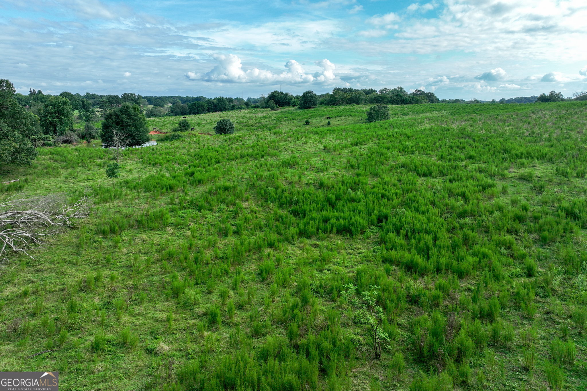 0 Turkey Creek Road Property Photo 19