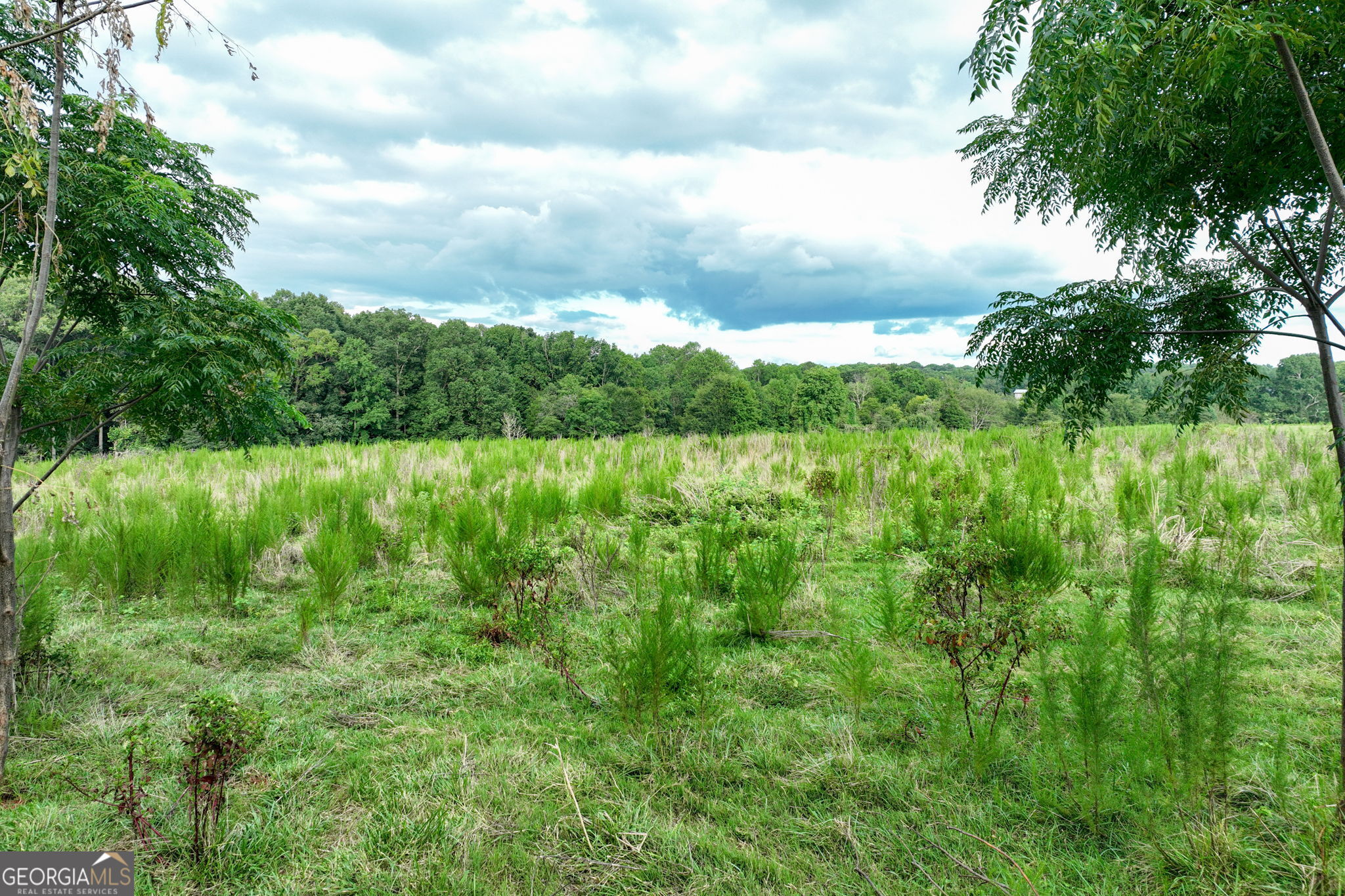 0 Turkey Creek Road Property Photo 20