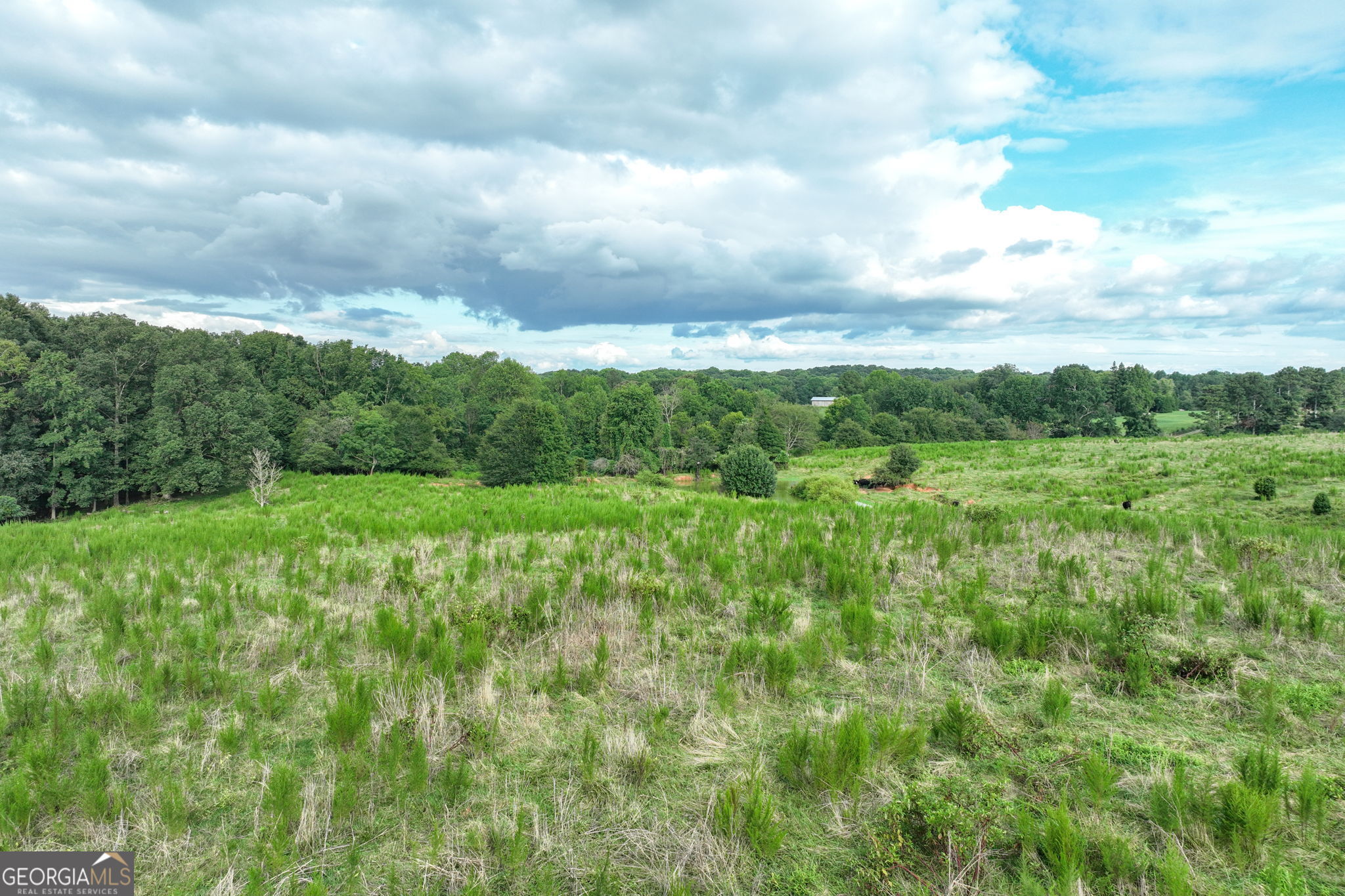 0 Turkey Creek Road Property Photo 21