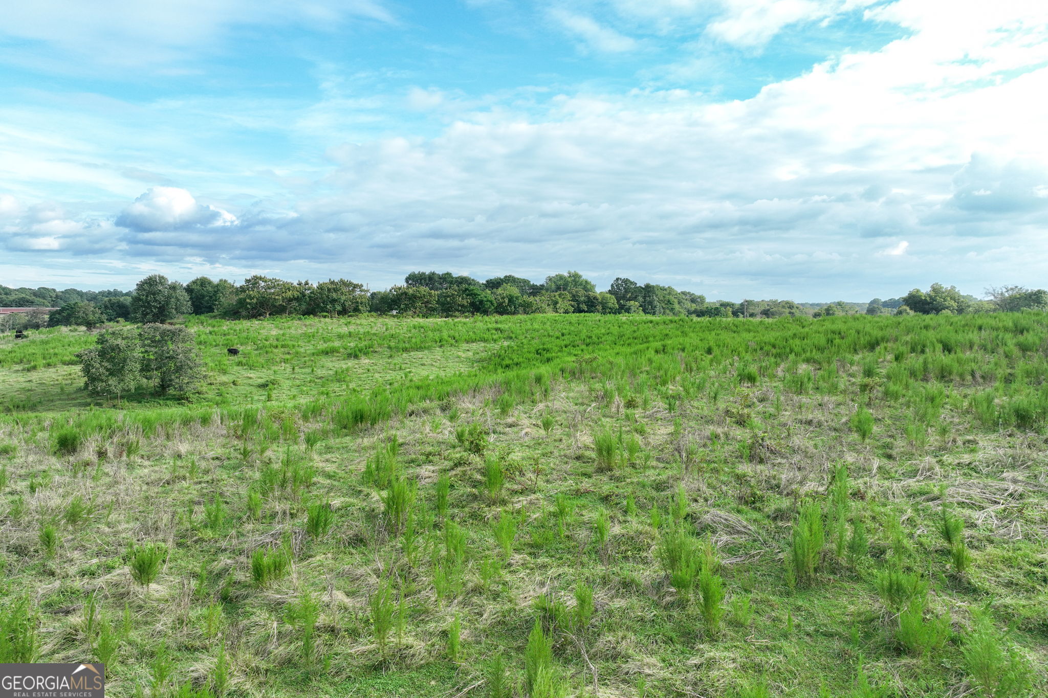 0 Turkey Creek Road Property Photo 22