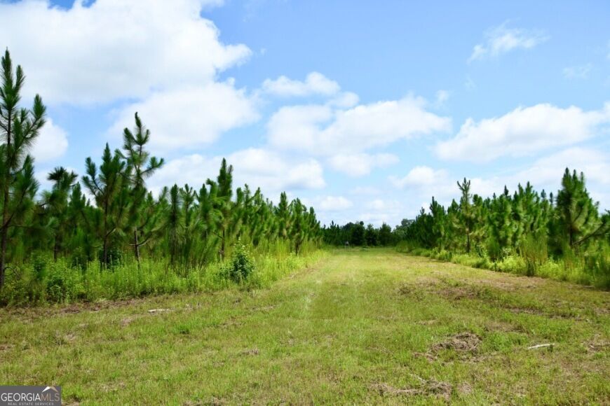 0 Highway 25 S Property Photo 13