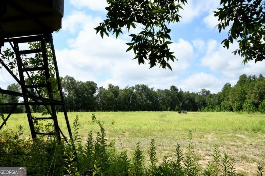 0 Highway 25 S Property Photo 17