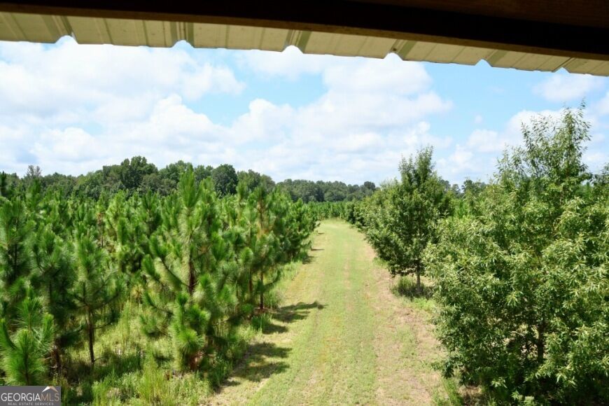 0 Highway 25 S Property Photo 23