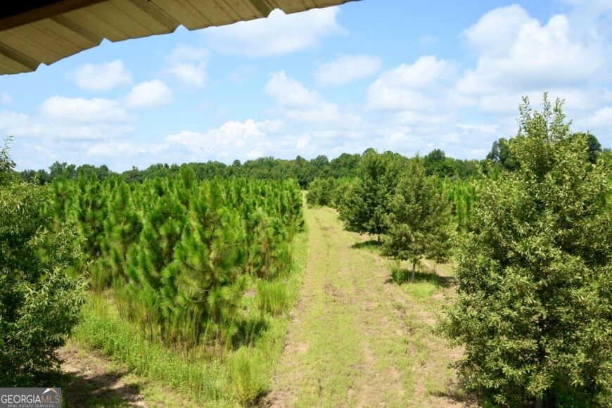0 Highway 25 S Property Photo 24