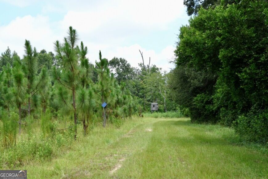 0 Highway 25 S Property Photo 27